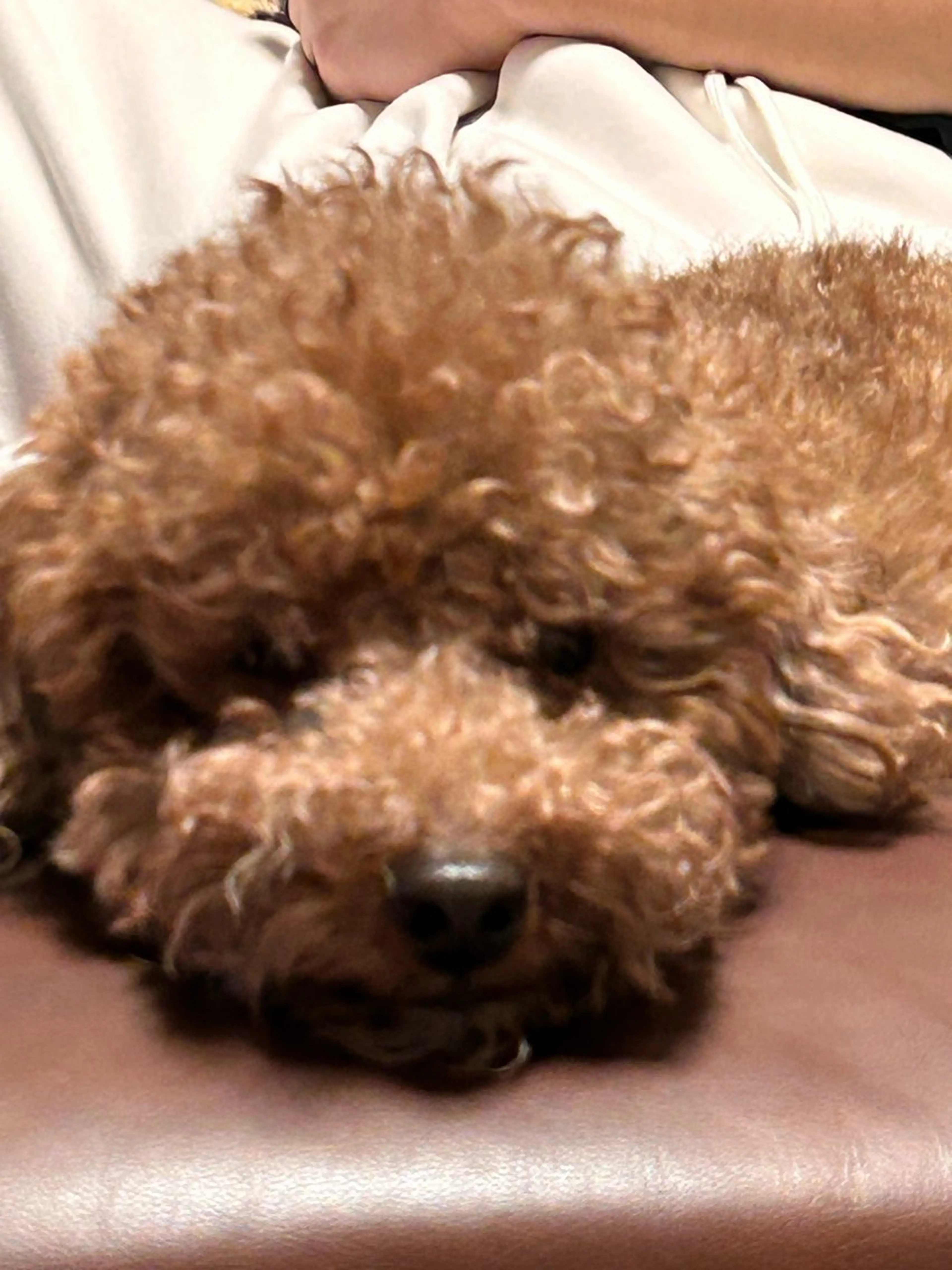 ネイル ハンドネイル N. bebeのネイルデザイン