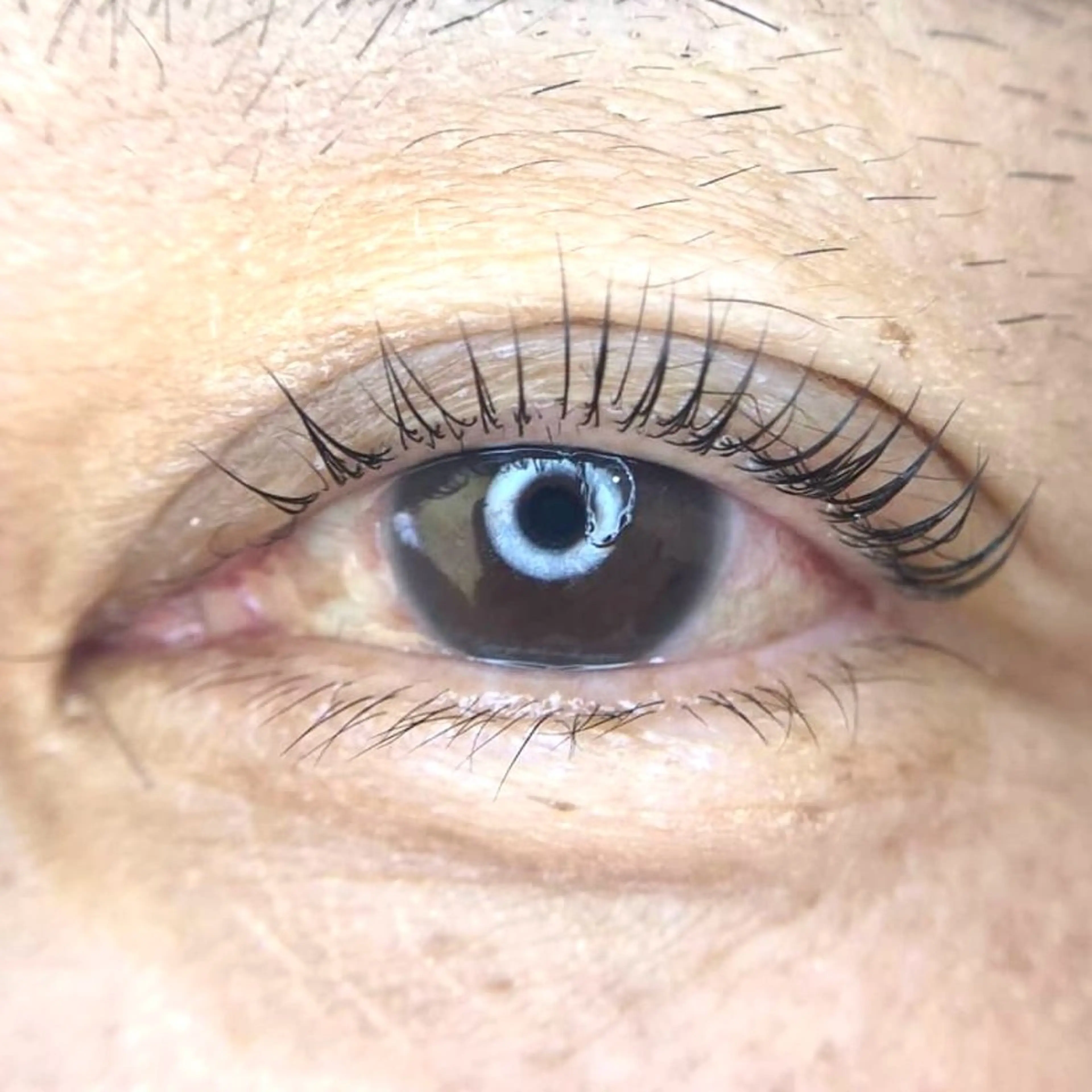 マツエク・マツパ 一重×まつ毛パーマ メゾンドシャルム NISHIKAWAのマツエク・マツパデザイン