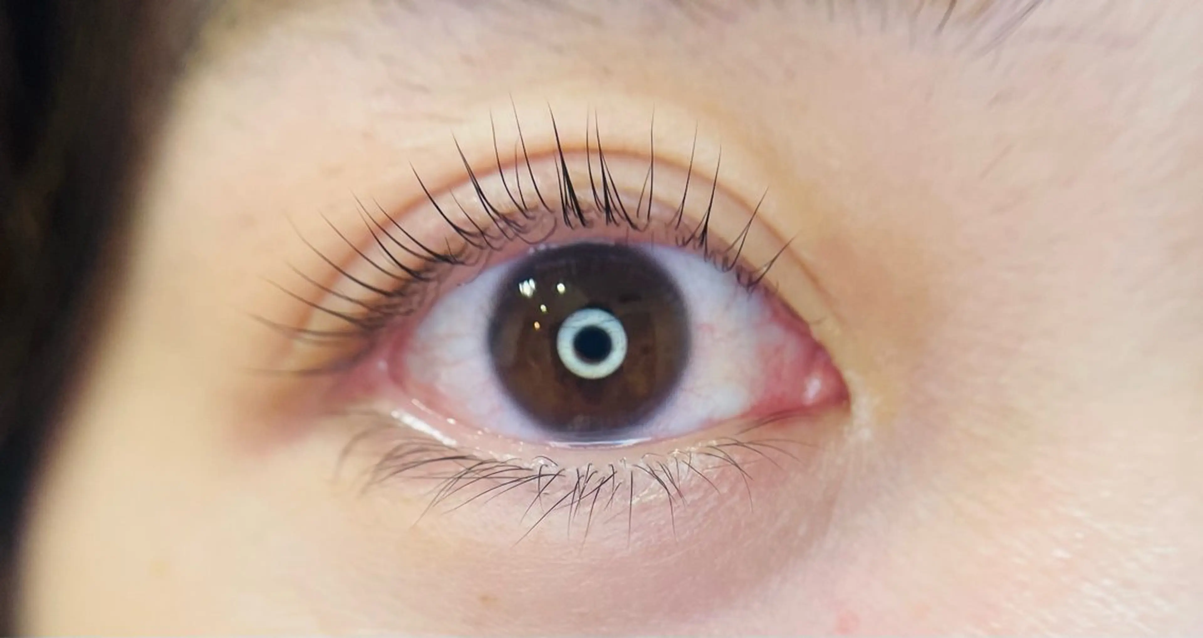 マツエク・マツパ Any eyelashのマツエク・マツパデザイン