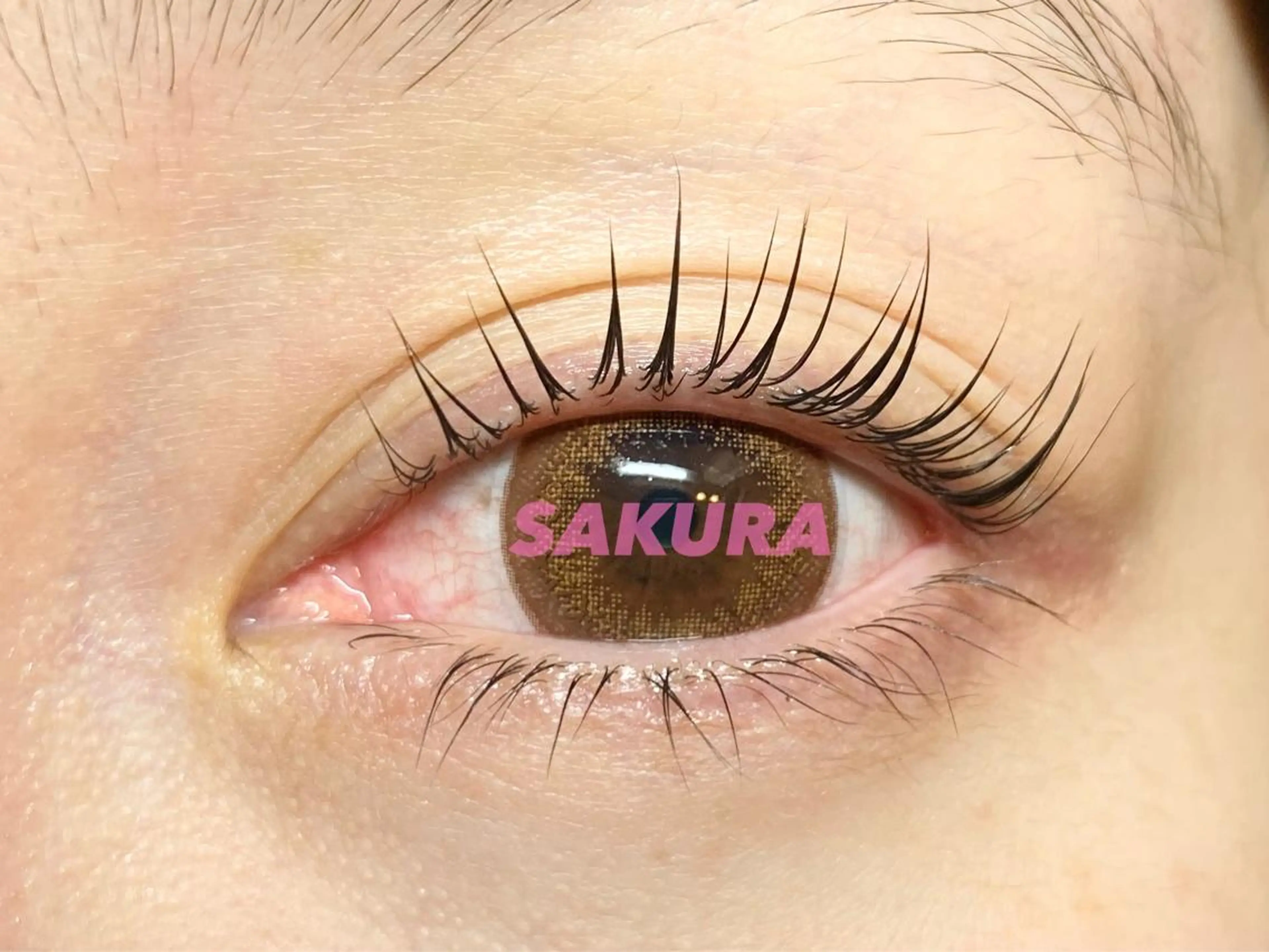 マツエク・マツパ 束感まつ毛 マツパ まつ毛エクステ&HIFU専門店 SAKURA【サクラ】心斎橋店所属・SAKURA心斎橋 ヒロコのマツエク・マツパデザイン