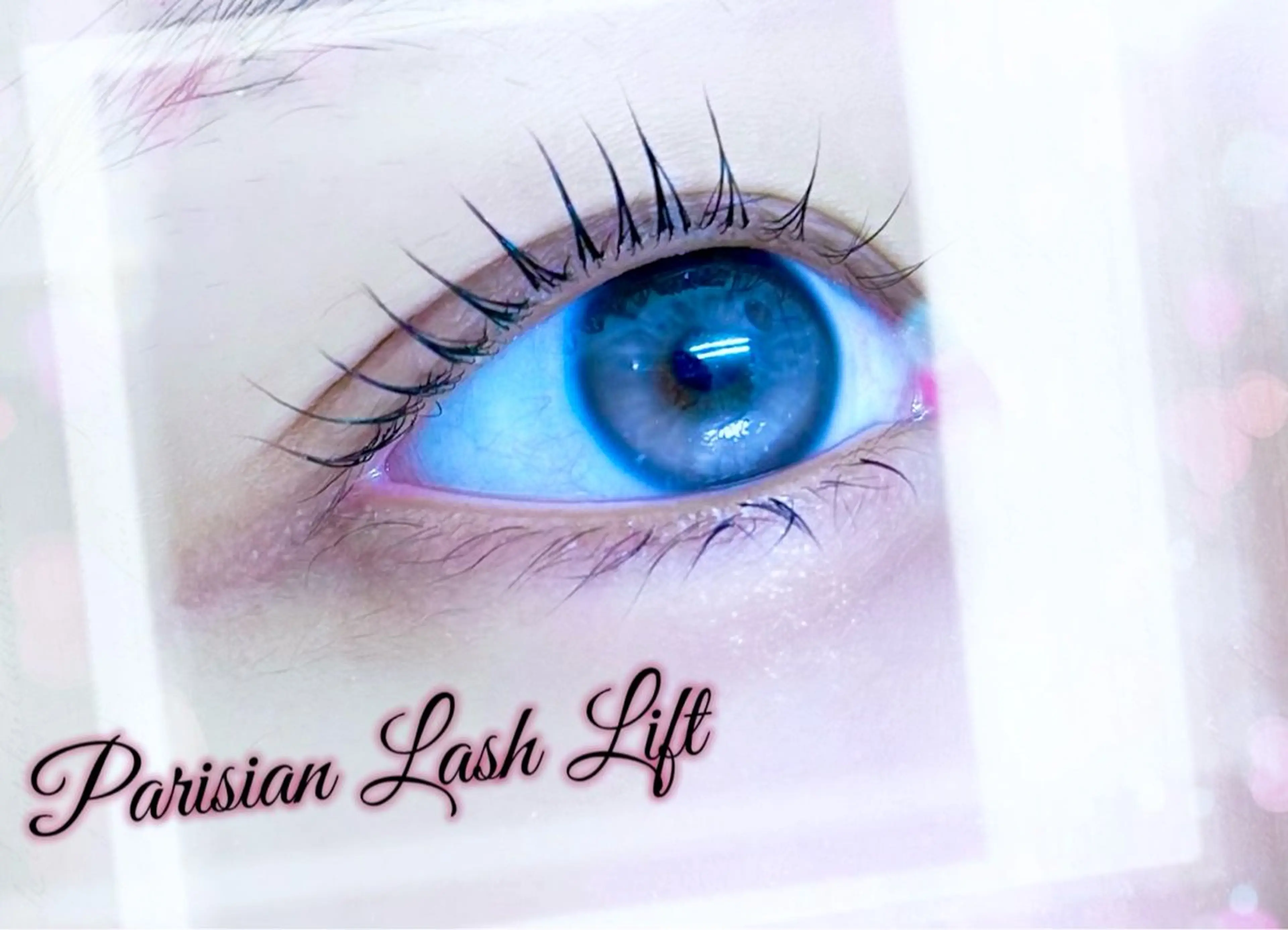 マツエク・マツパ 🎀eyelist. mizuki🐈‍⬛の眉毛・アイブロウイメージ