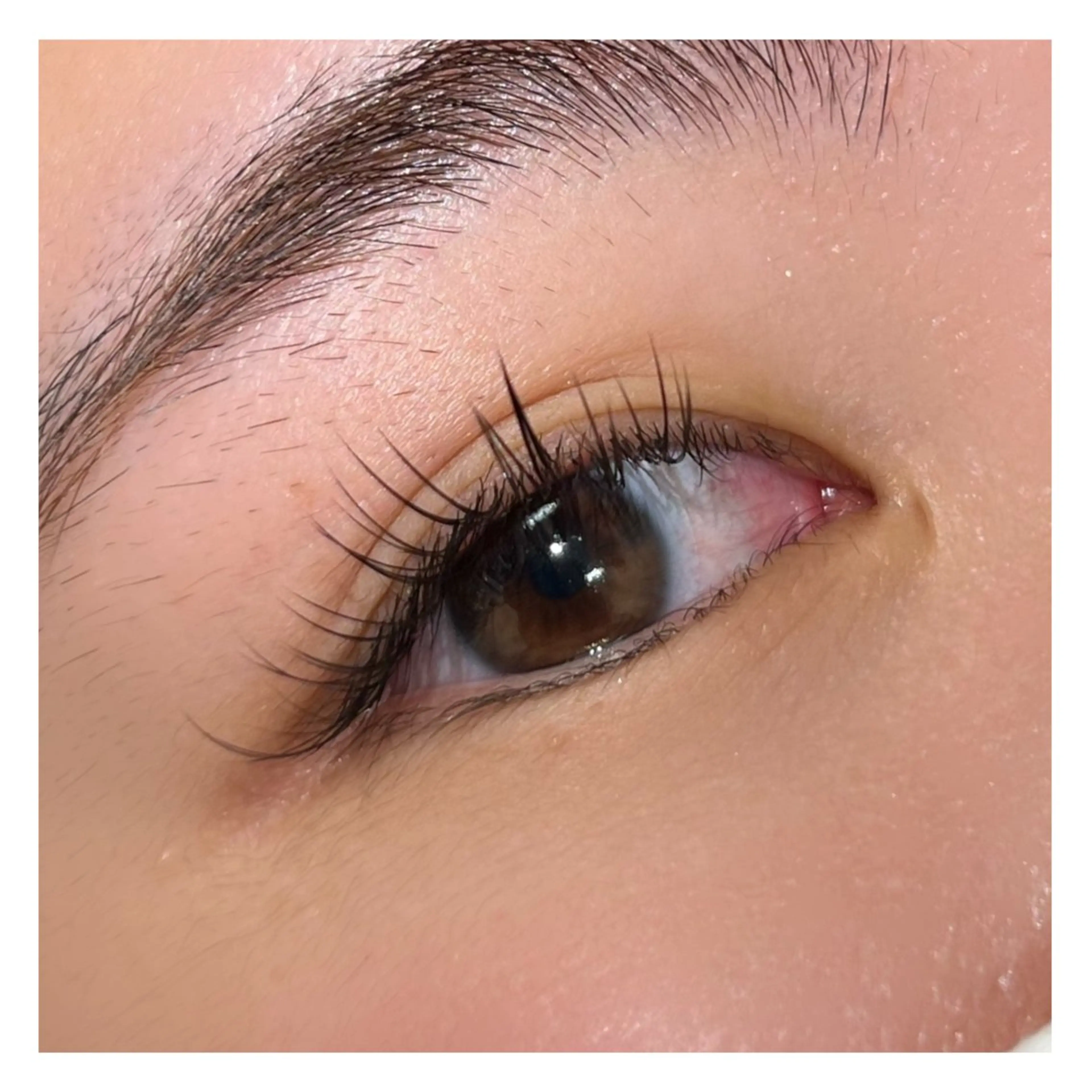 (1月限定)マツエク100本まで【オフ無し】の写真