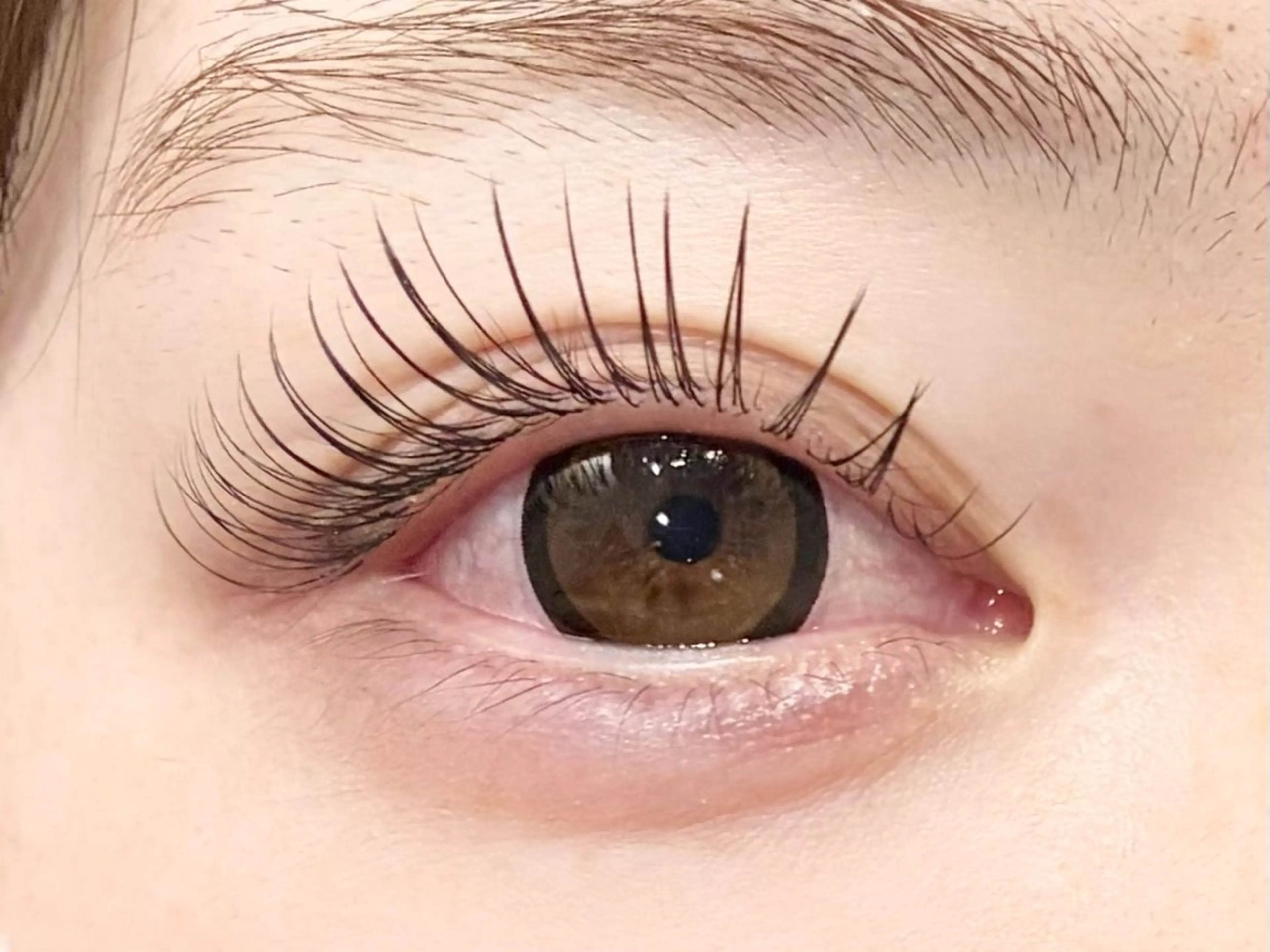 マツエク・マツパ フラットラッシュ マツエク 中村彩香 (エフドゥ)のマツエク・マツパデザイン