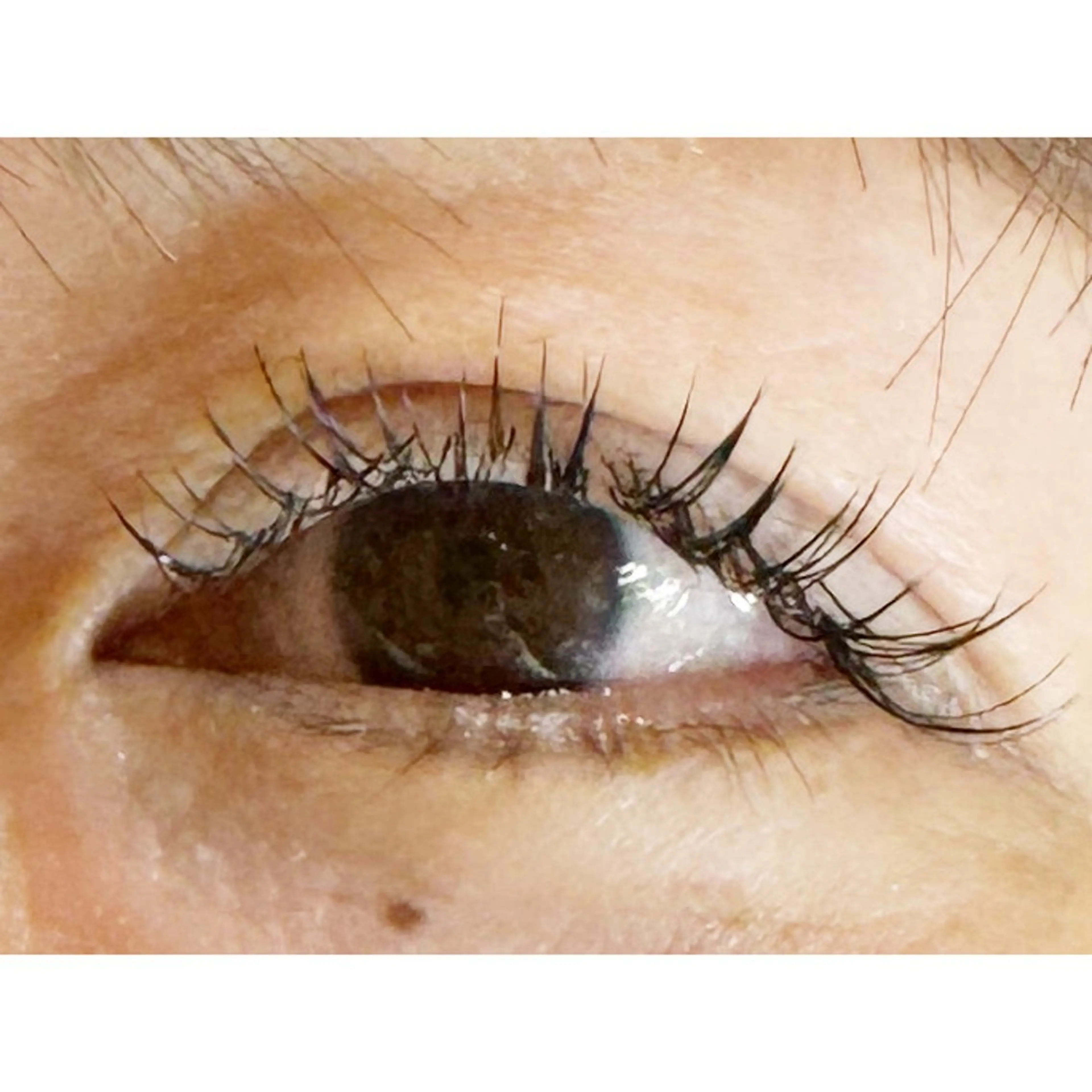 マツエク・マツパ マツエク Luz町田店 工藤の眉毛・アイブロウイメージ