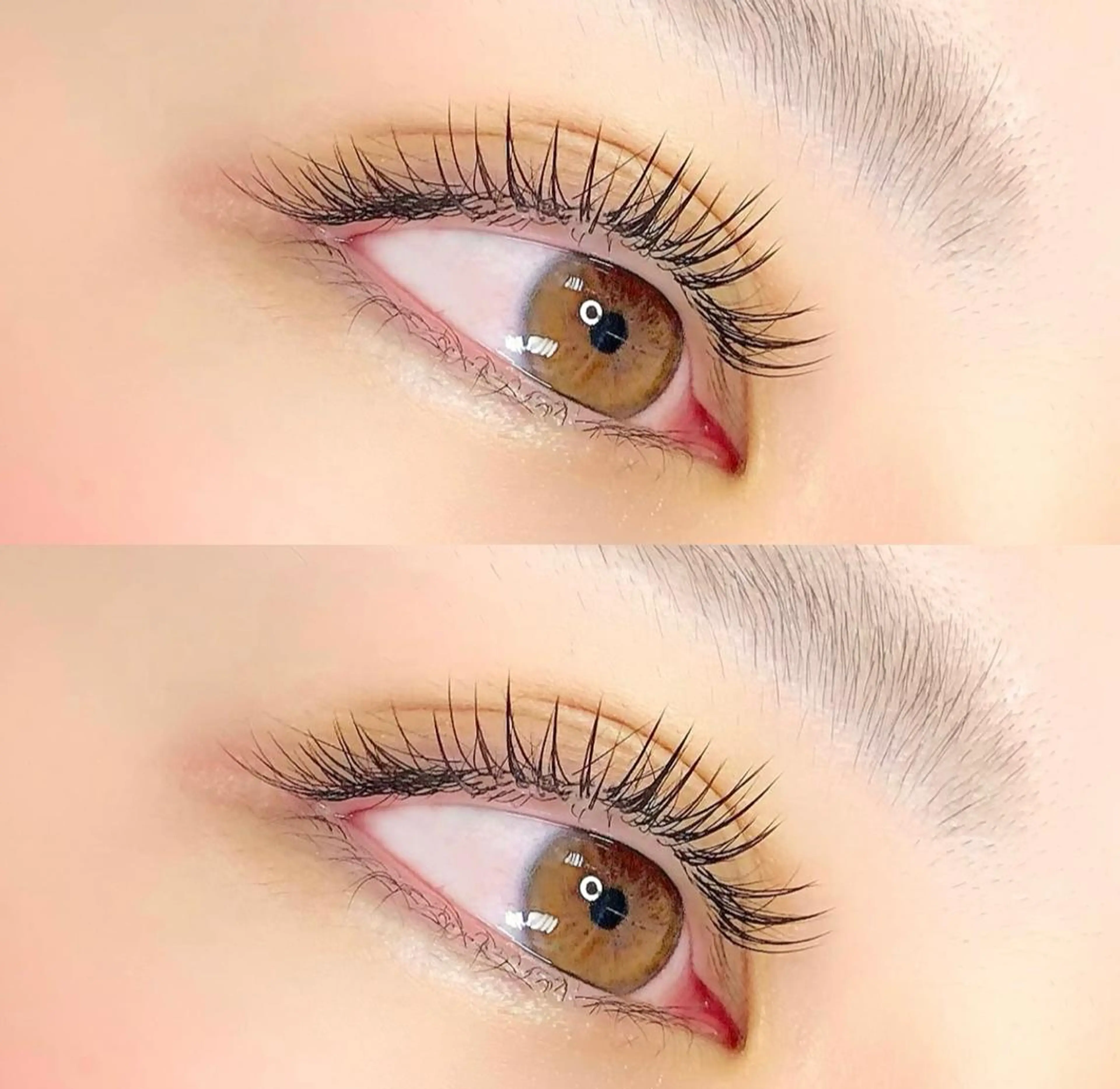 上がりにくいまつ毛の方募集中です!まつ毛パーマとまつ毛エクステのセットメニューの写真