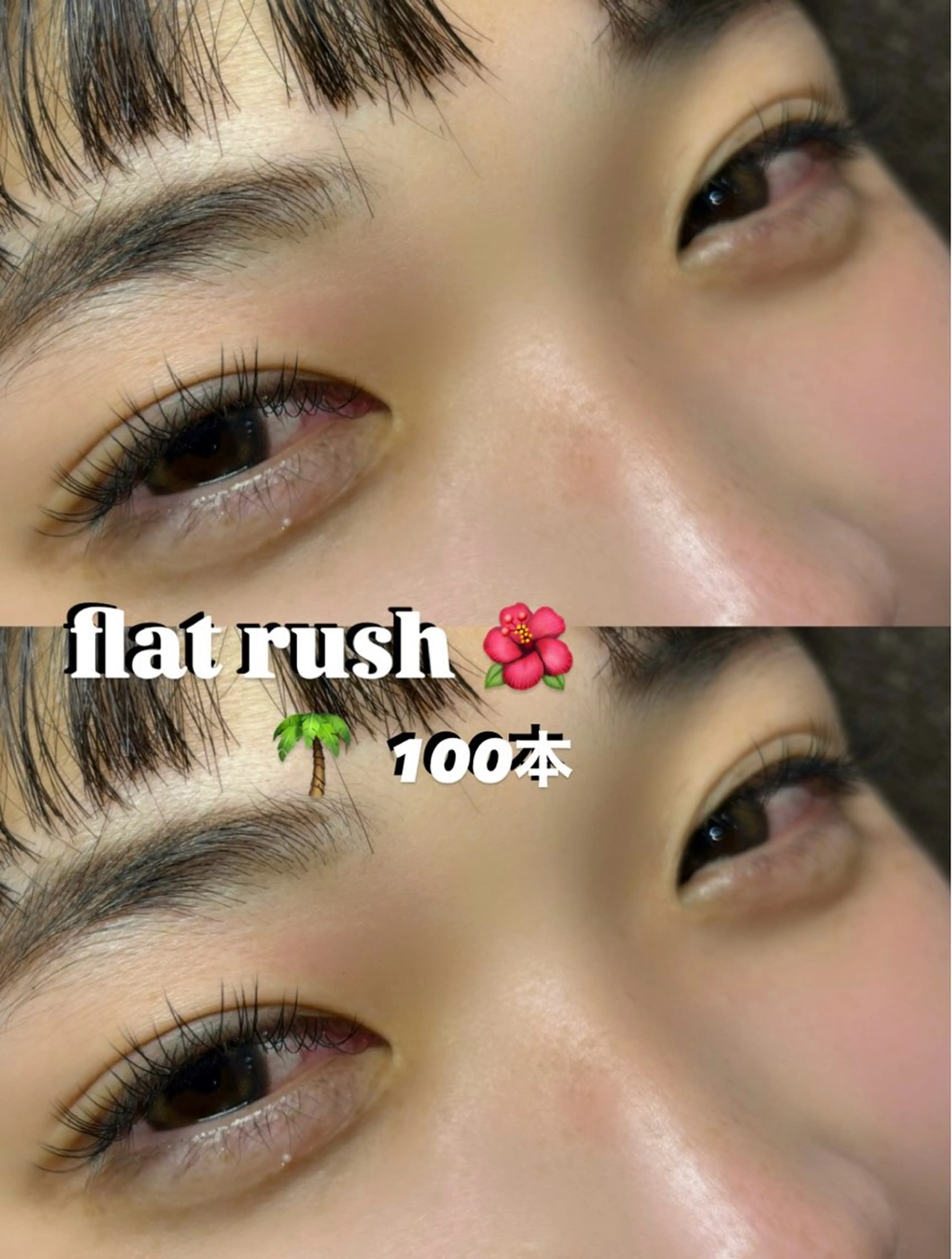 ãããšã¯ã»ããã ððŒSOL seinaððŒã®ãããšã¯ã»ããããã¶ã€ã³