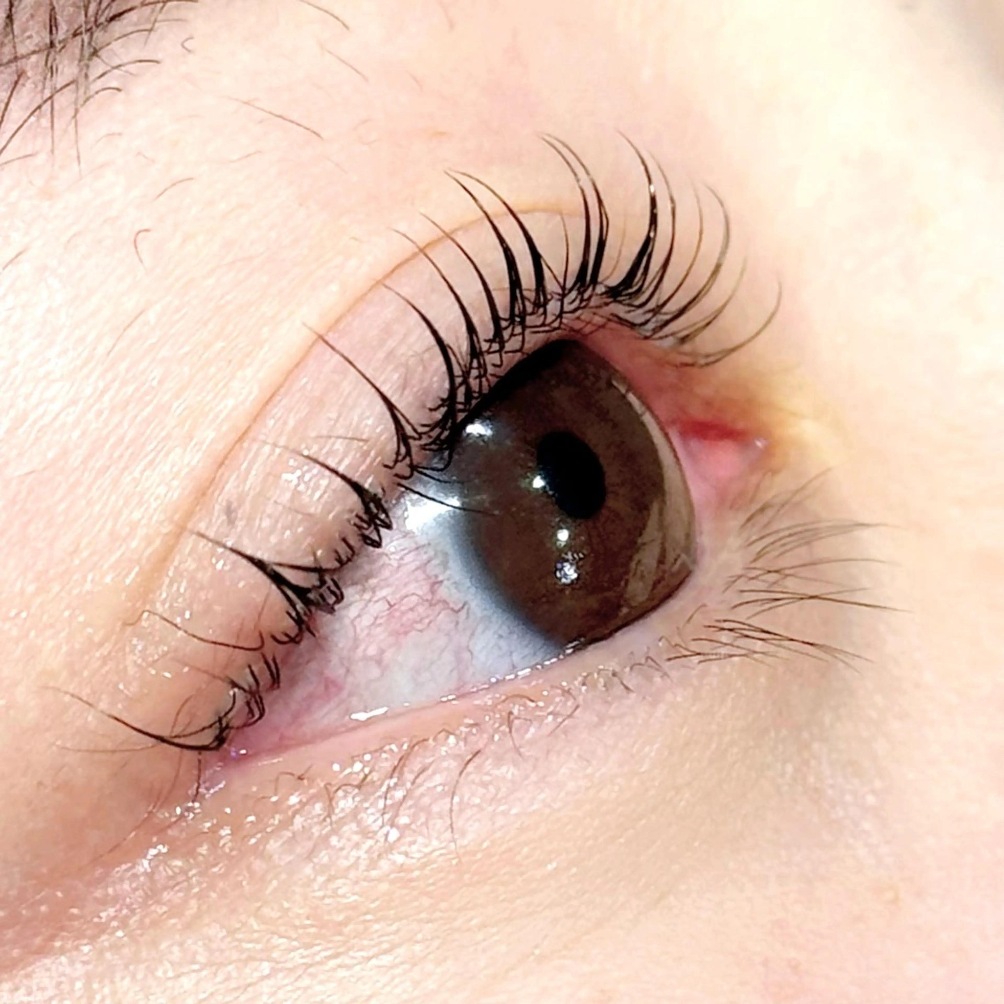 ふんわりまつげパーマ✨【トリートメント&コーティング付】の写真