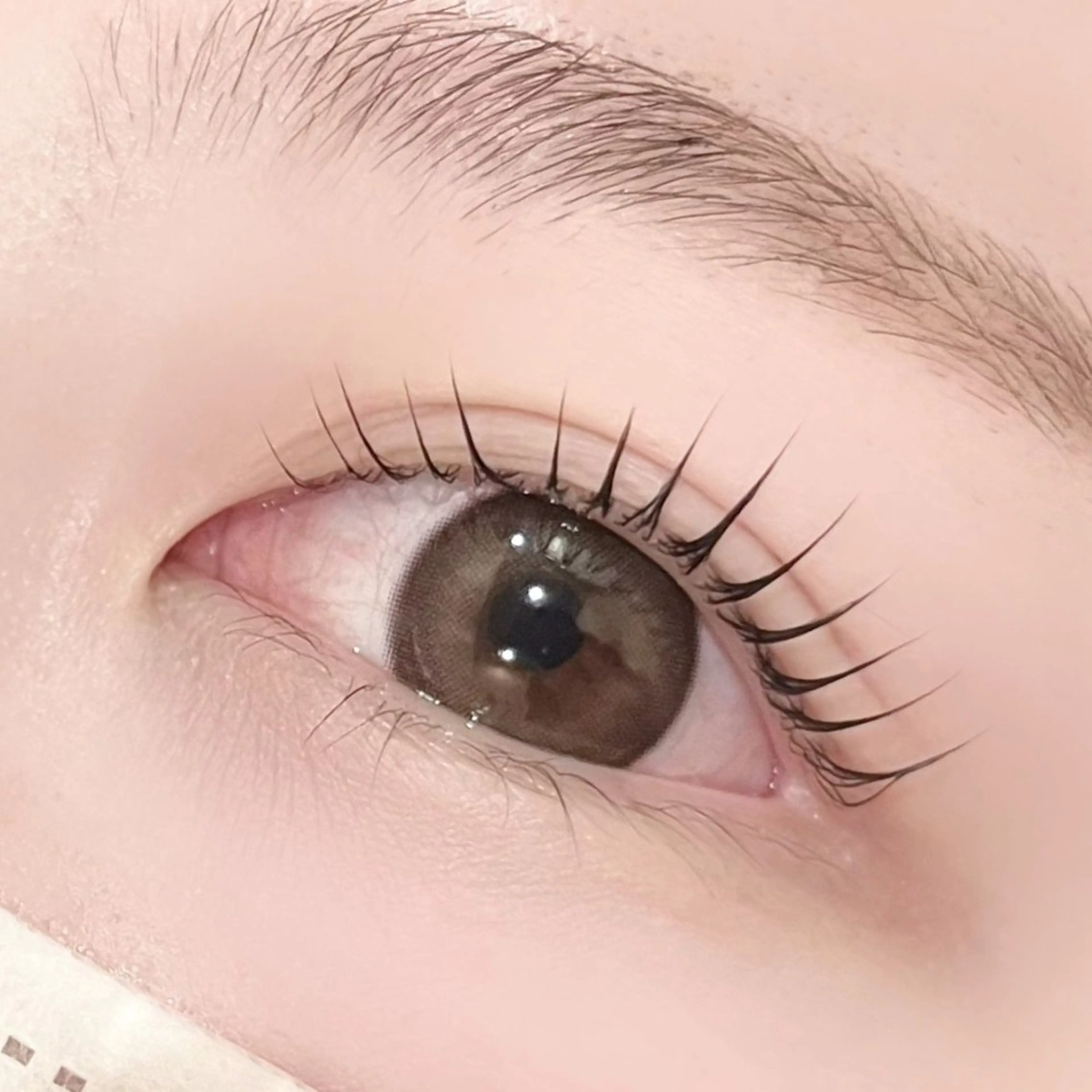 マツエク・マツパ パリジェンヌラッシュリフト pono大宮東口店 RIOのマツエク・マツパデザイン