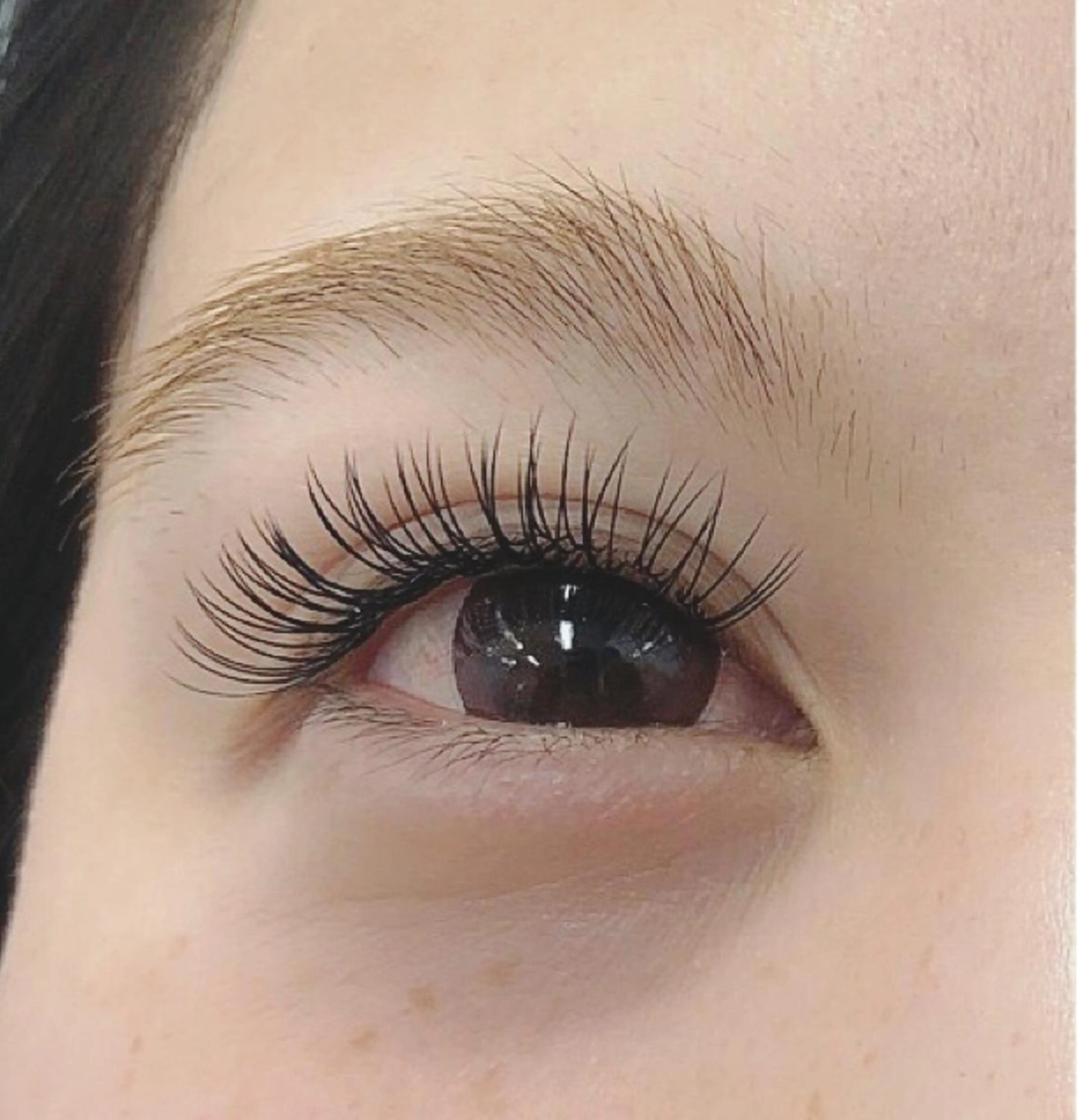 マツエク・マツパ フラットラッシュ Shihomi Moriのマツエク・マツパデザイン