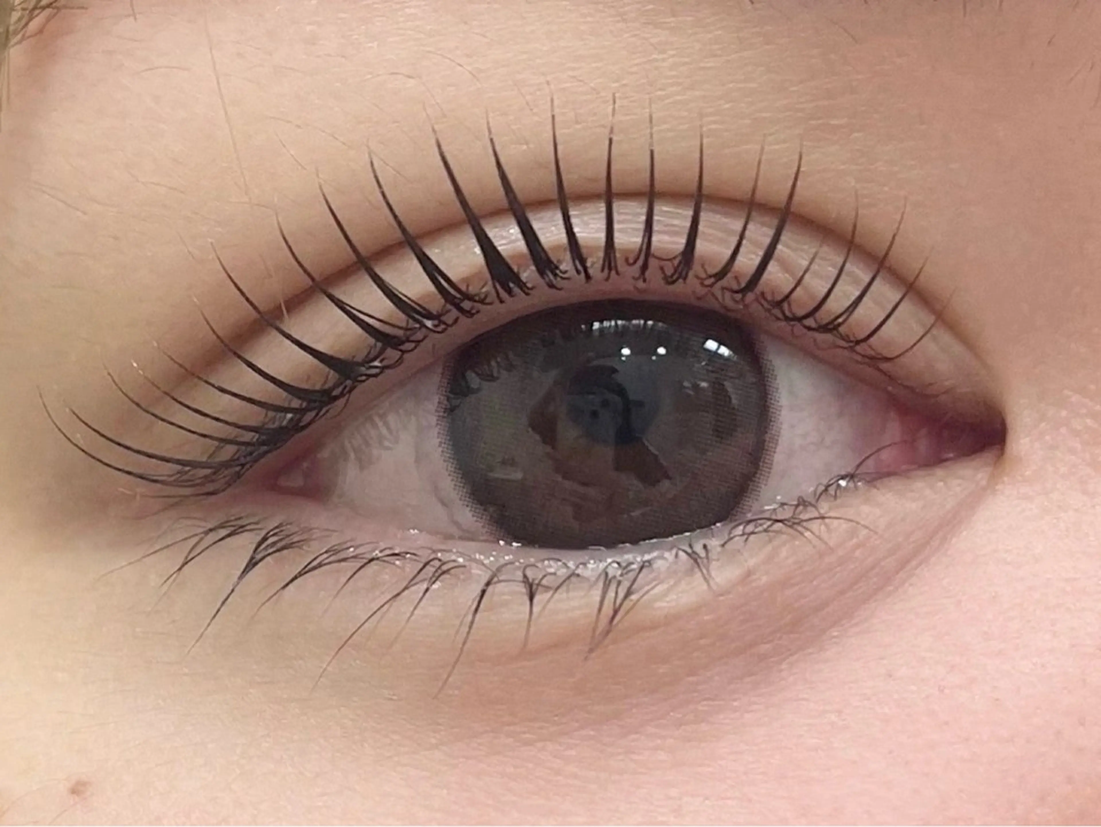 マツエク・マツパ まつげパーマ マツパ Corin まつげサロンのマツエク・マツパデザイン