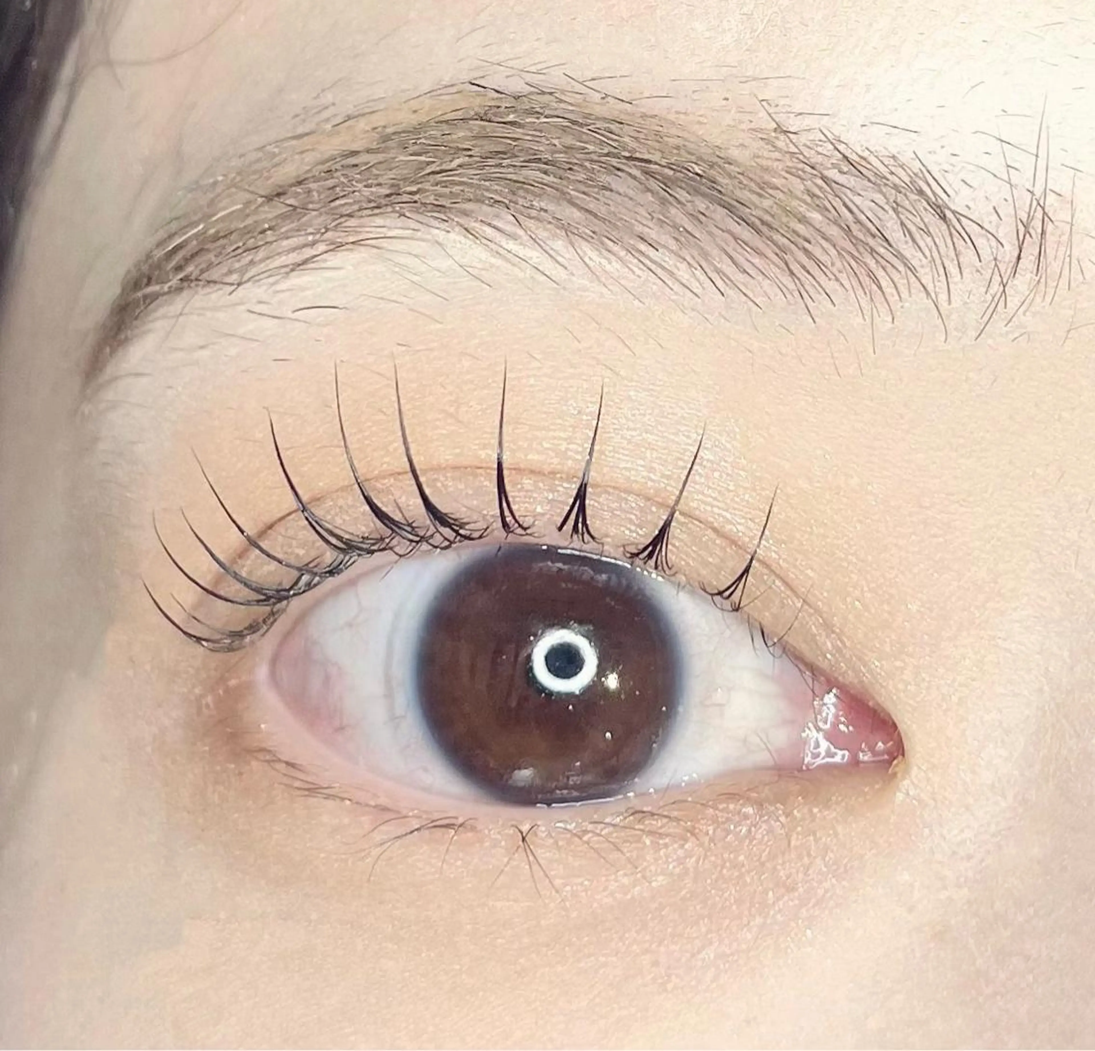 マツエク・マツパ パリジェンヌラッシュリフト 堀内 優衣💗パリジェンヌのマツエク・マツパデザイン