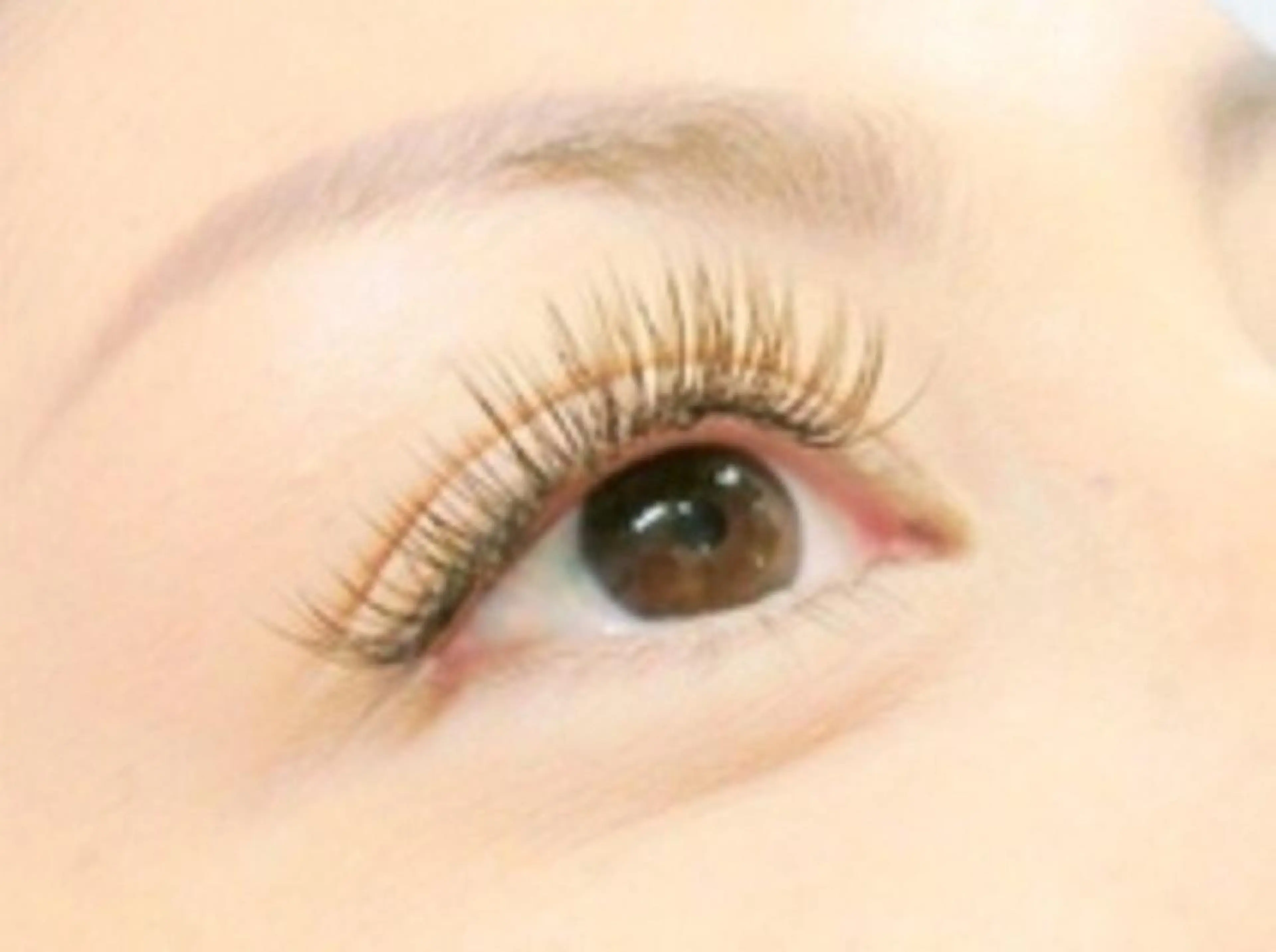 マツエク・マツパ ナチュラル セーブル 石丸 洋子のヘアスタイル