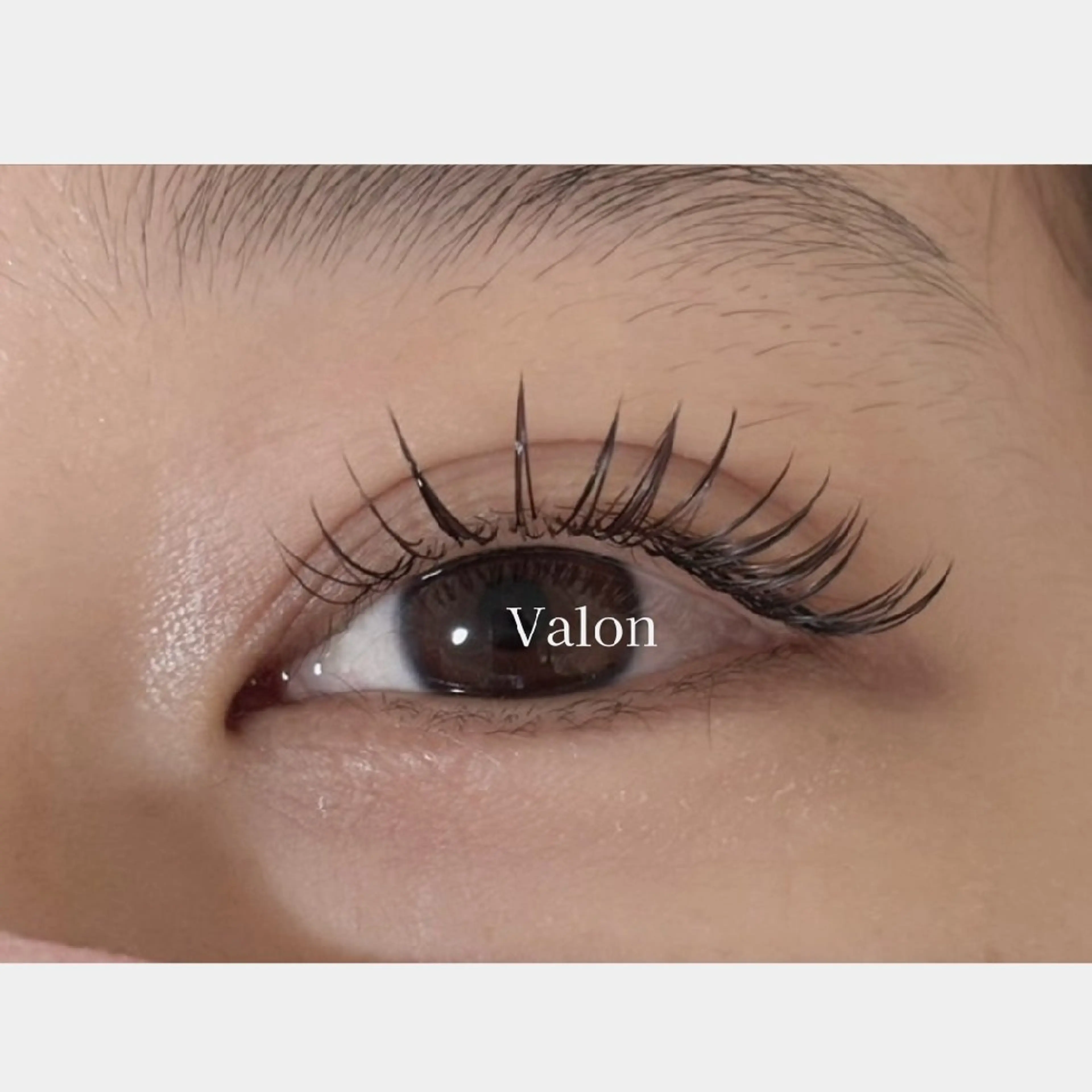 Flat lash 100本（オフ込）の写真