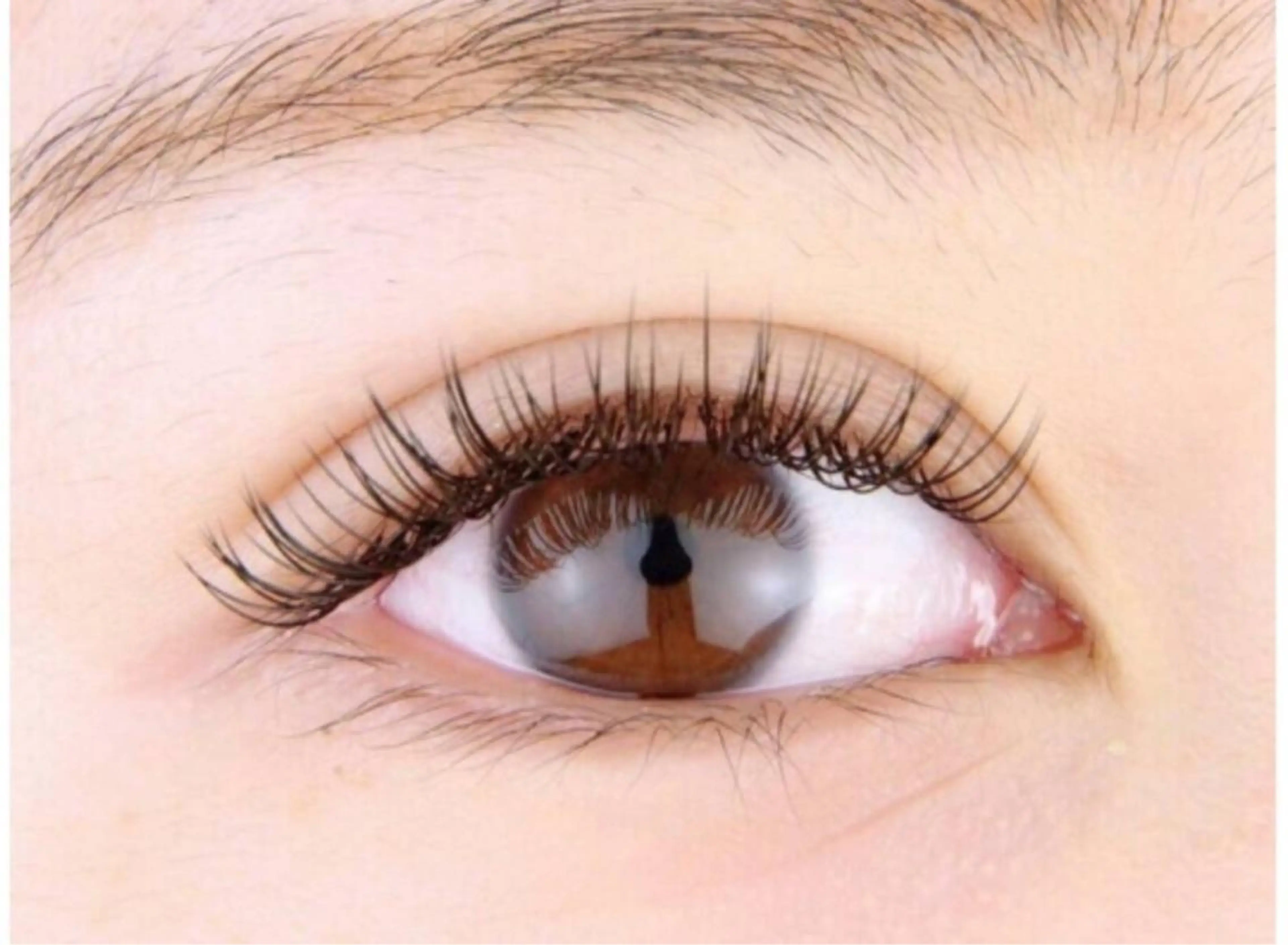 フラットラッシュ120本🌟オフ無料の写真