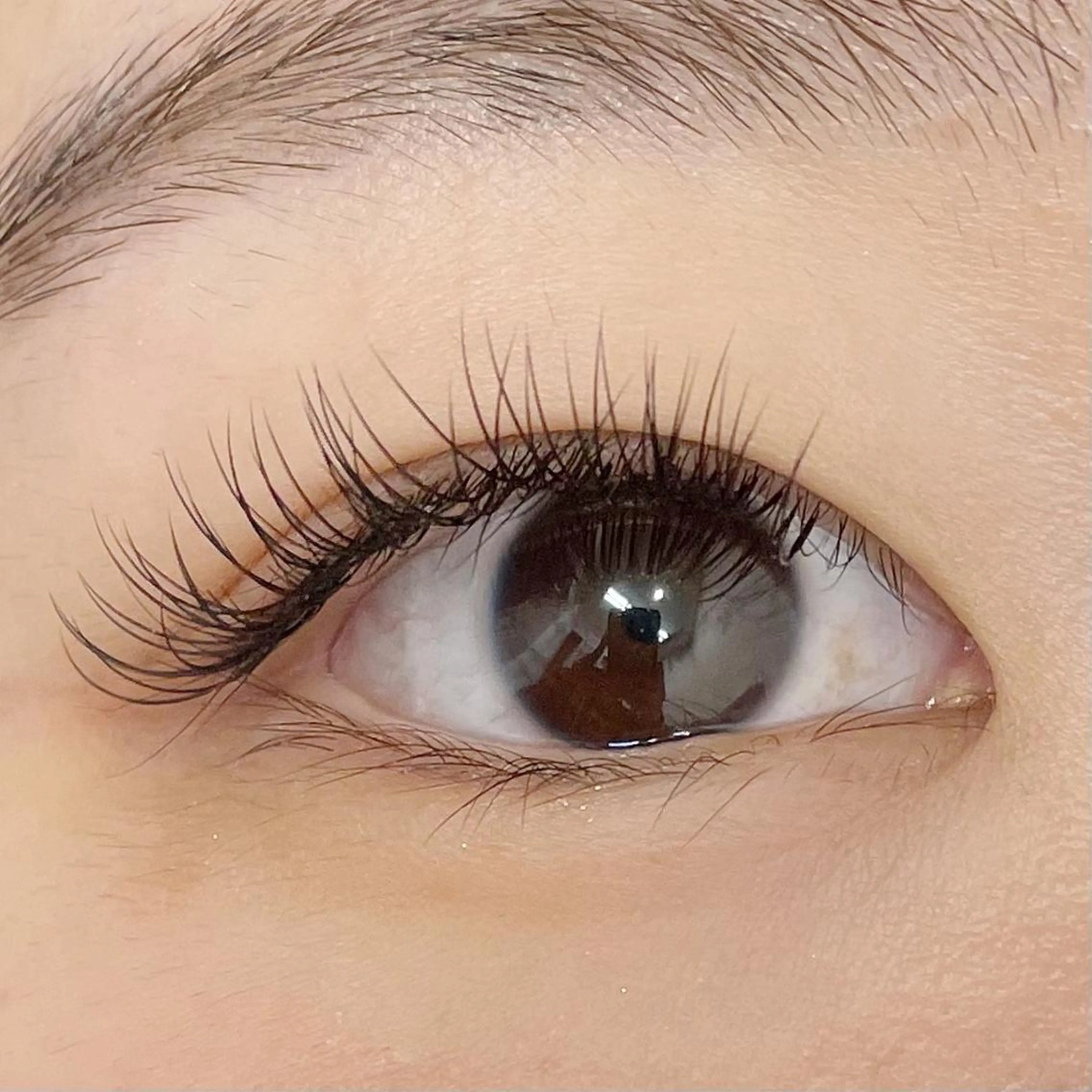 マツエク・マツパ Cカール ナチュラル セーブル yuzuka ❤︎のマツエク・マツパデザイン