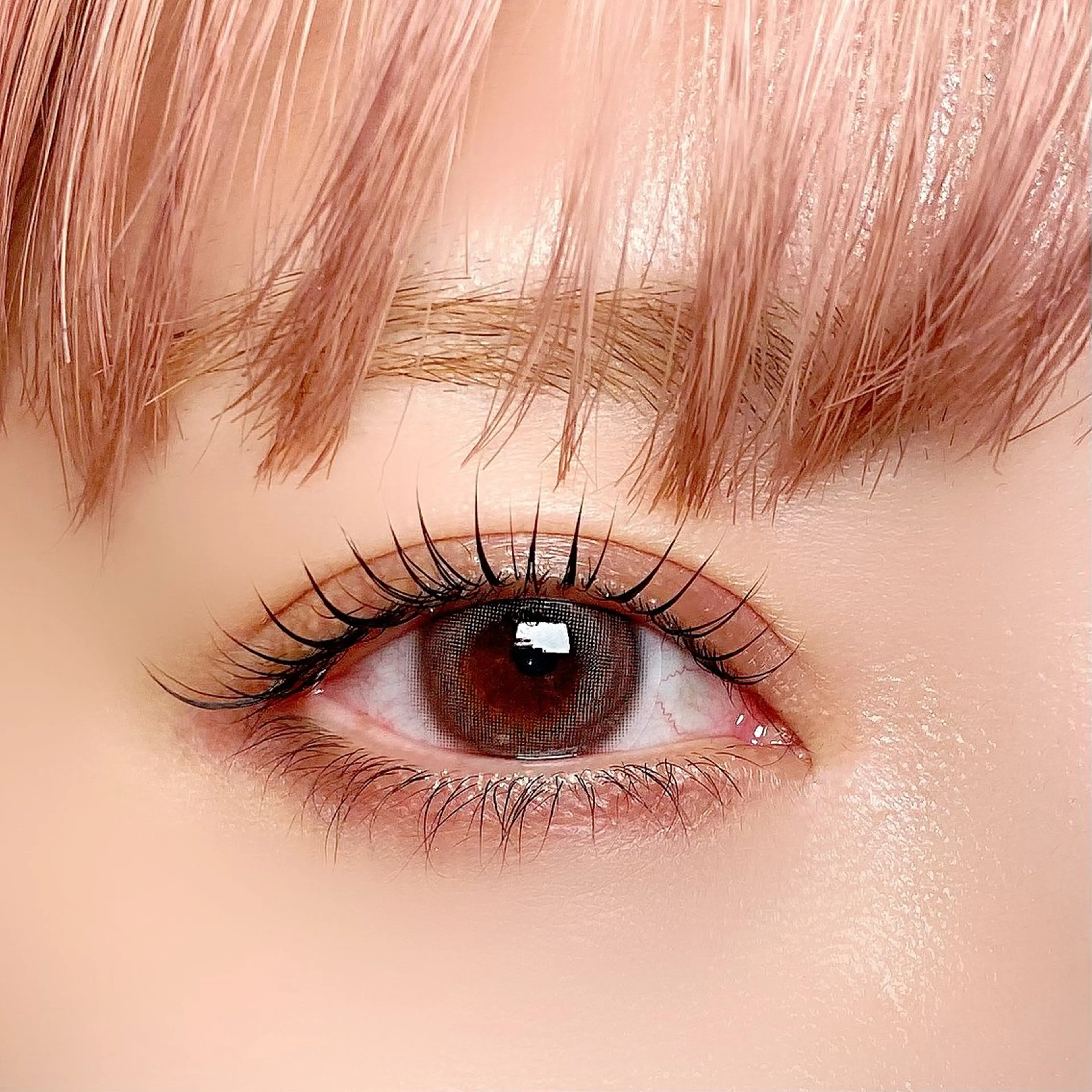 マツエク・マツパ 束感まつ毛 フラットラッシュ 韓国風マツエク パリジェンヌラッシュリフト 一重×まつ毛パーマ マツパ 束感パリジェンヌ上下 恵比寿ayakaのマツエク・マツパデザイン