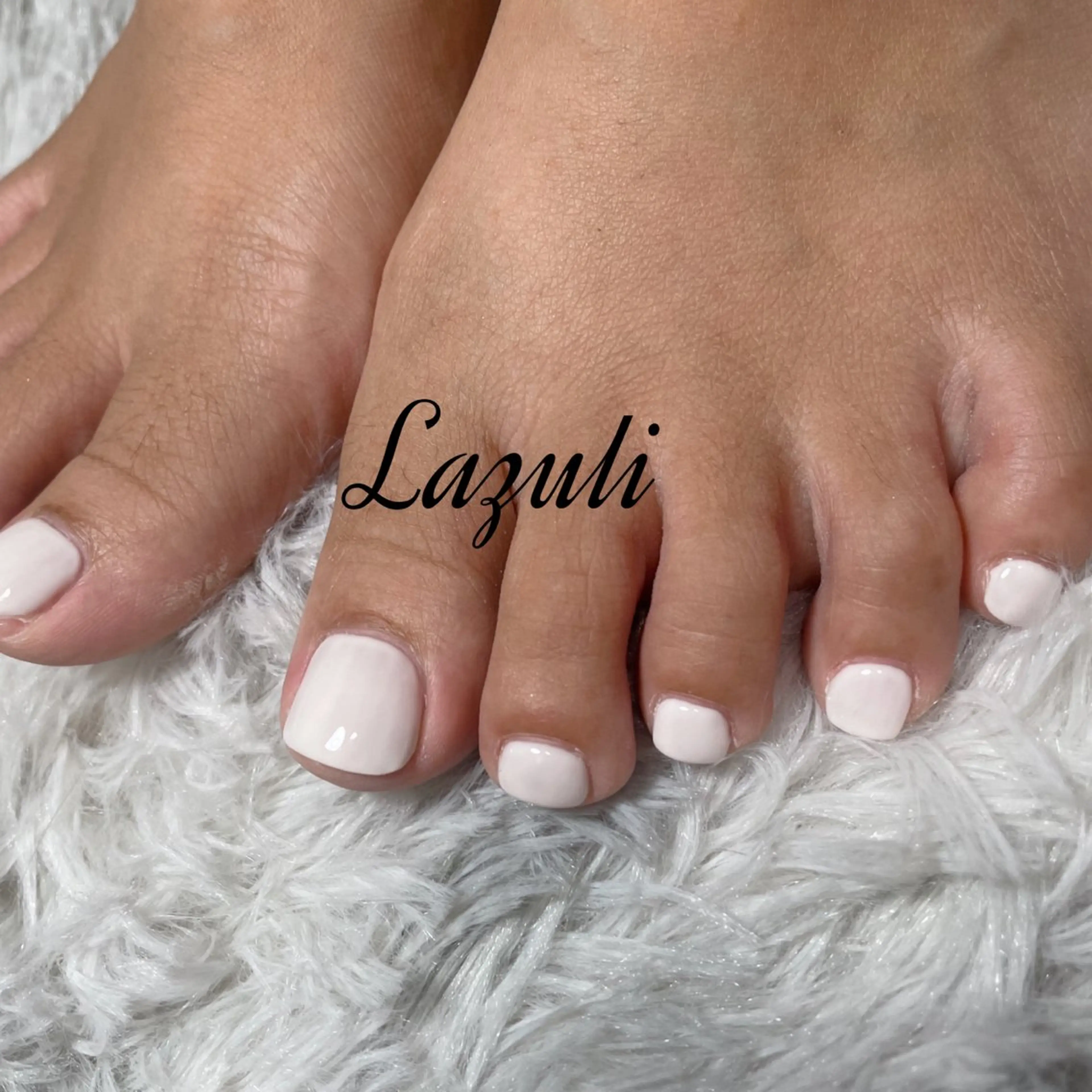 ワンカラーの写真