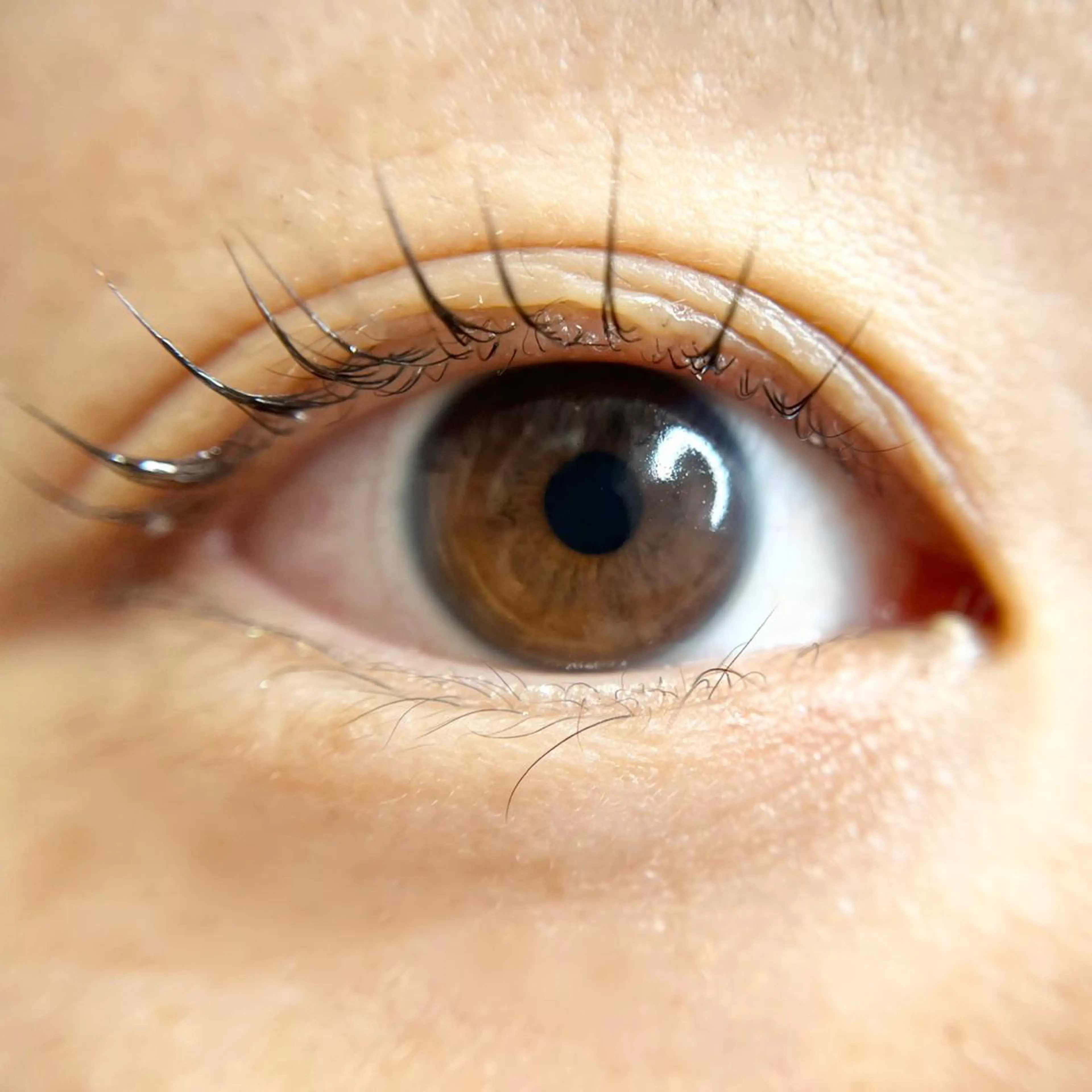 マツエク・マツパ eyelash salon  COHANA所属・TOSHI .のマツエク・マツパデザイン