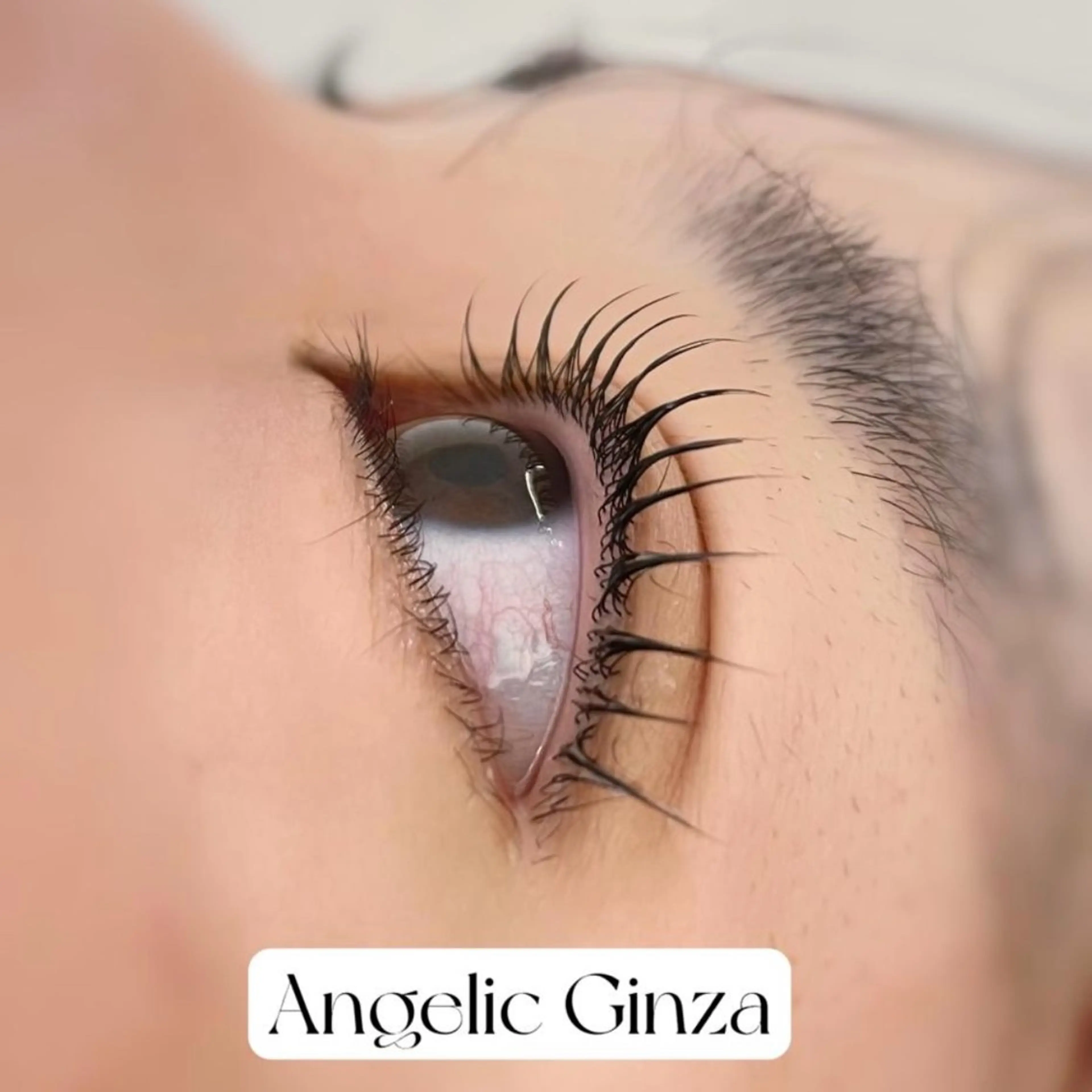 マツエク・マツパ Angelic TsukI♥🧸のマツエク・マツパデザイン