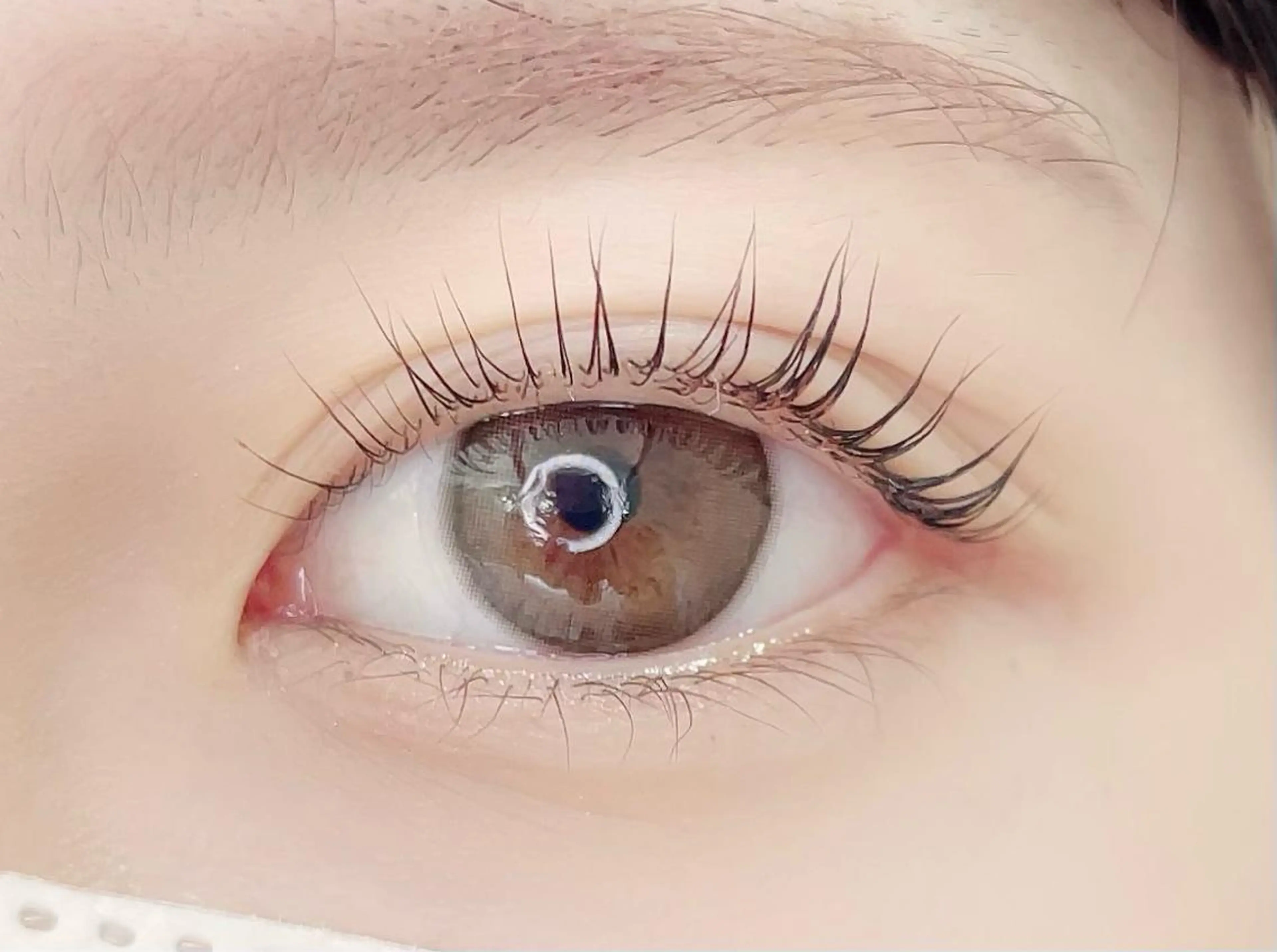 高校生限定クーポン💕ラッシュリフト💕平日限定になります⚠️目の形やまつ毛の長さに合わせます✨美容液仕上げ✨の写真