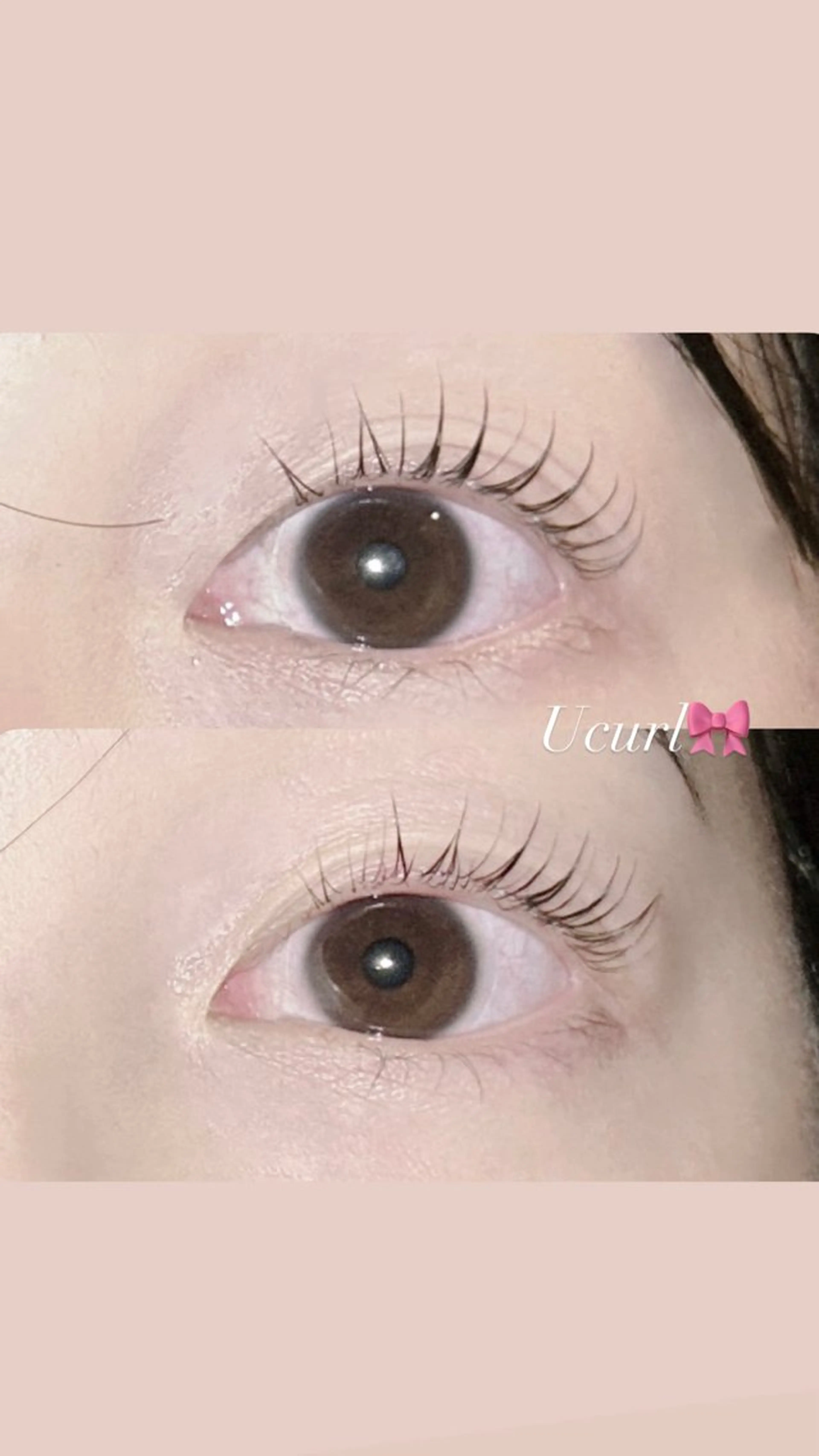 🌷まつげパーマ・ラッシュリフト🌷保湿コーティング付き🪄の写真