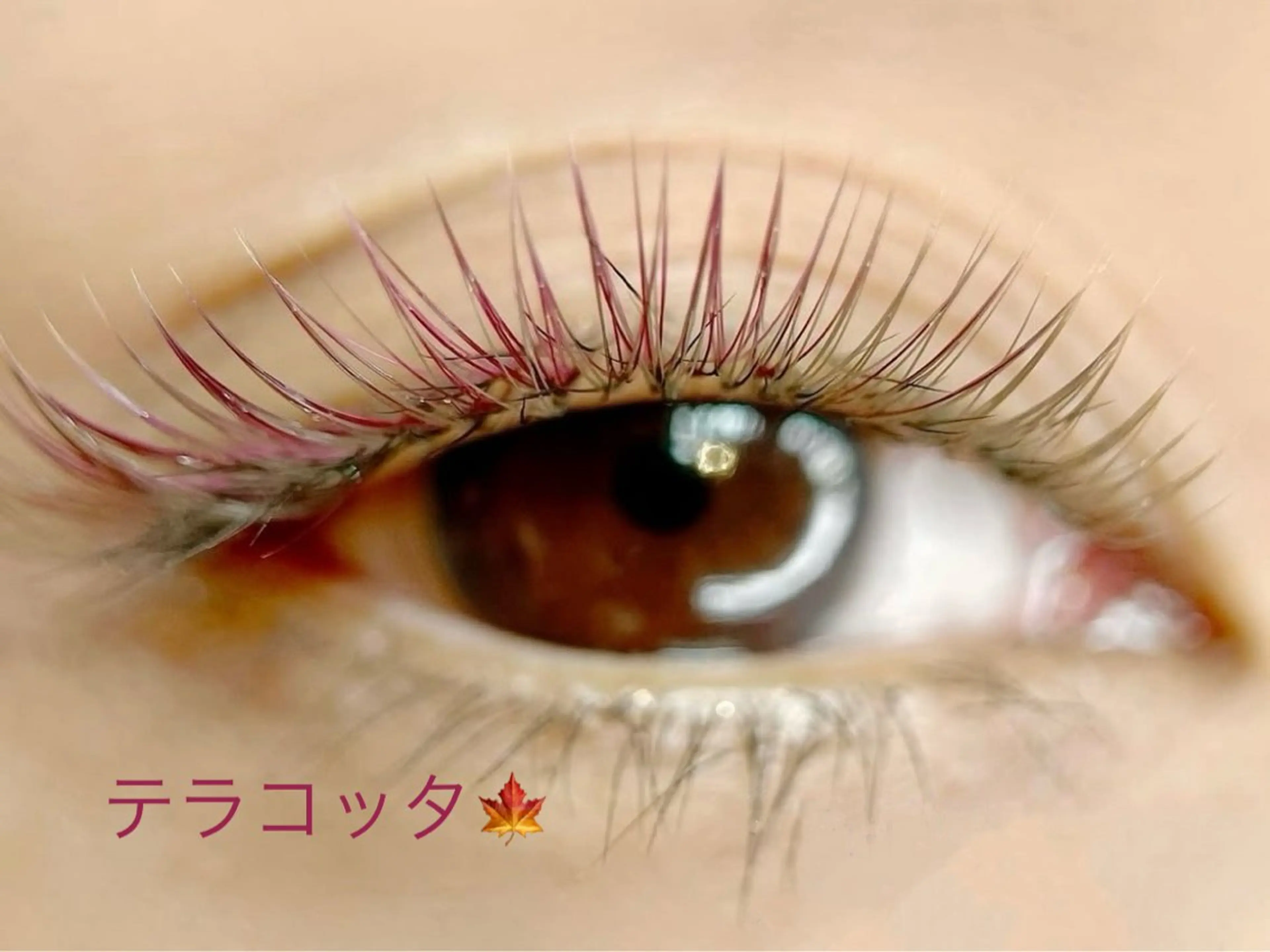 ⚠️豊洲店です※※急募❤️ マツエク80本練習モデル（オフある方ご申告ください）現金のみの写真