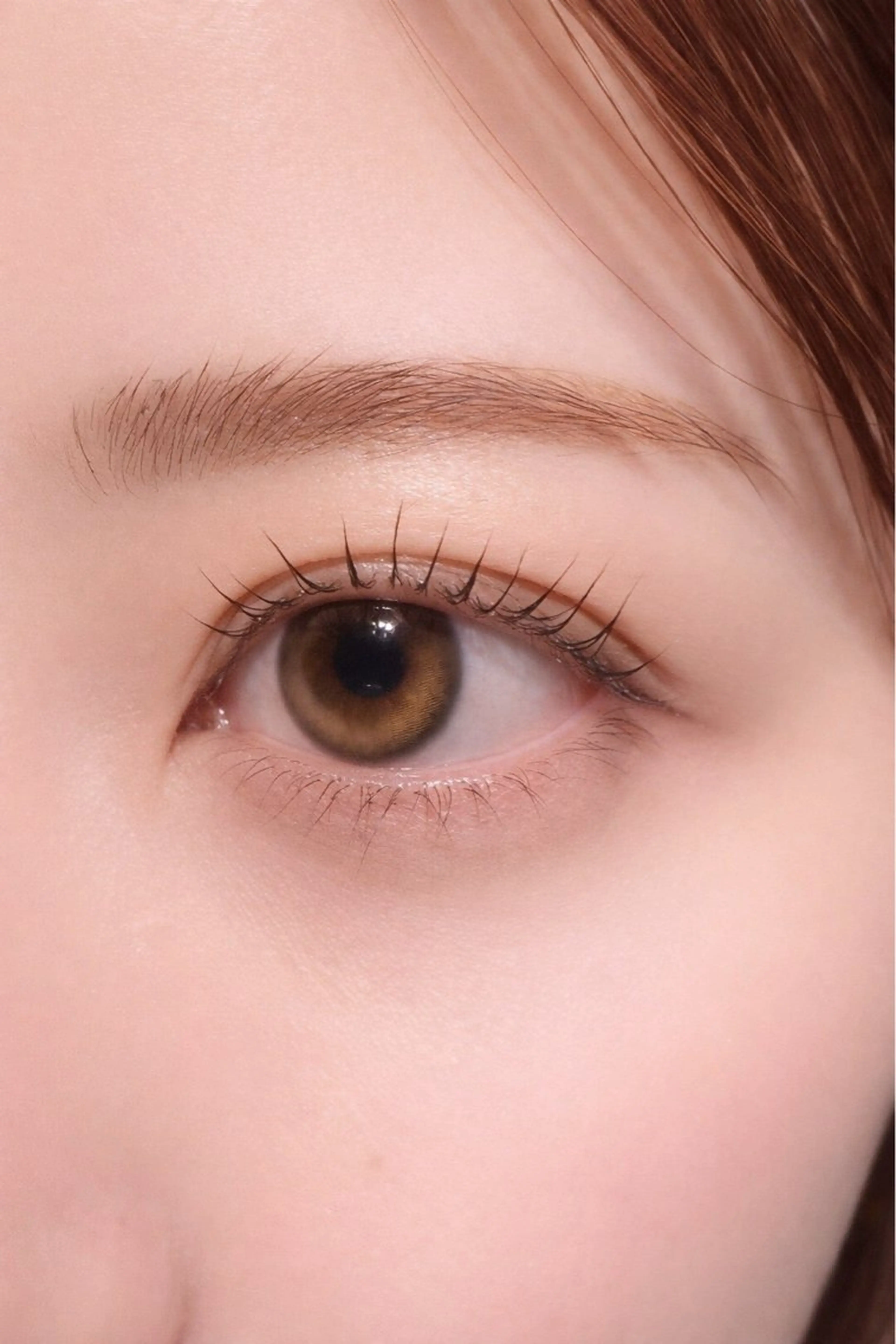 🩷当日予約限定🩷パッチリまつ毛パーマ（コーティング仕上げ）上のみの写真