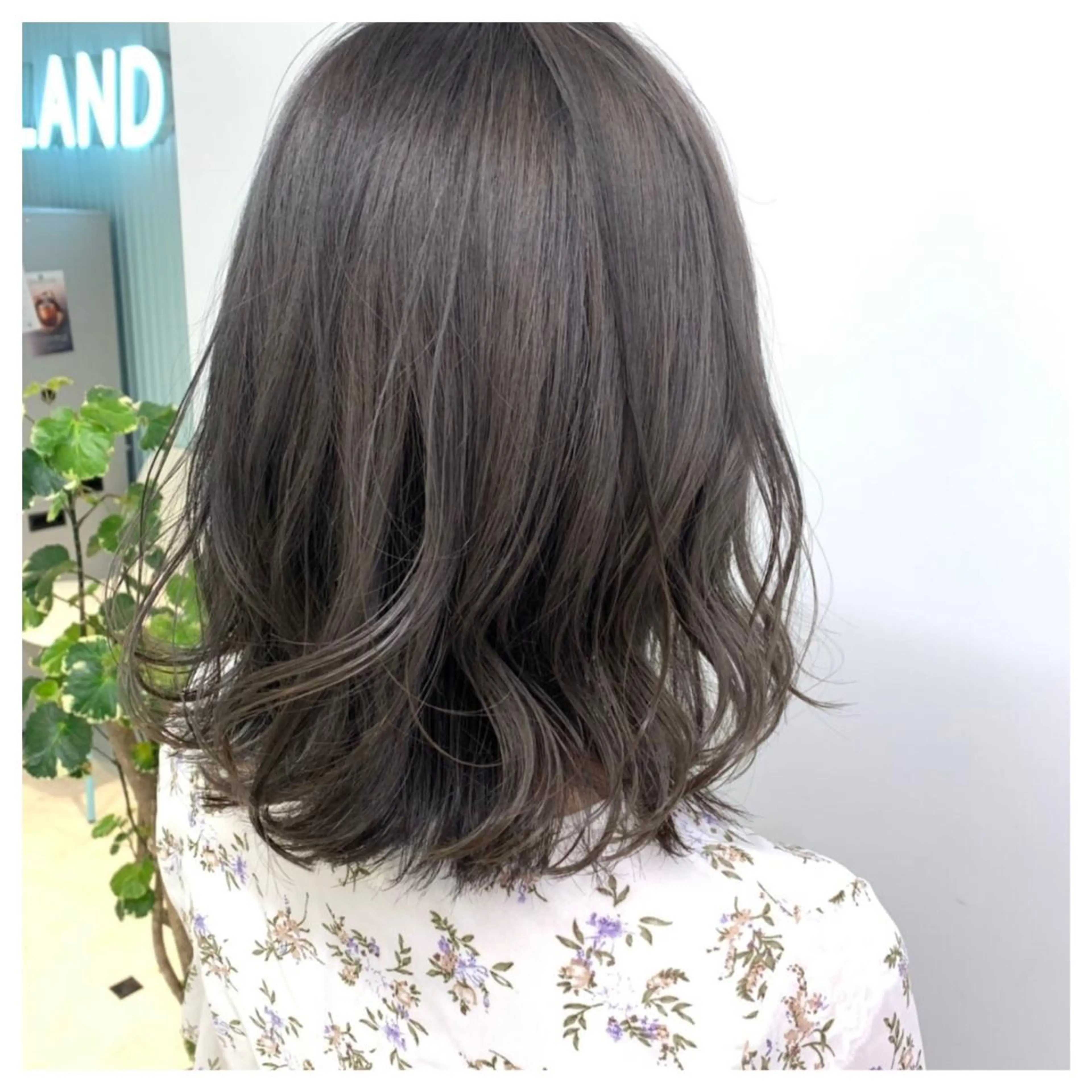 ショート カラー グレージュ オリーブグレージュ オリーブグレー ♡透け感カラー 大賀哲平♡のヘアスタイル