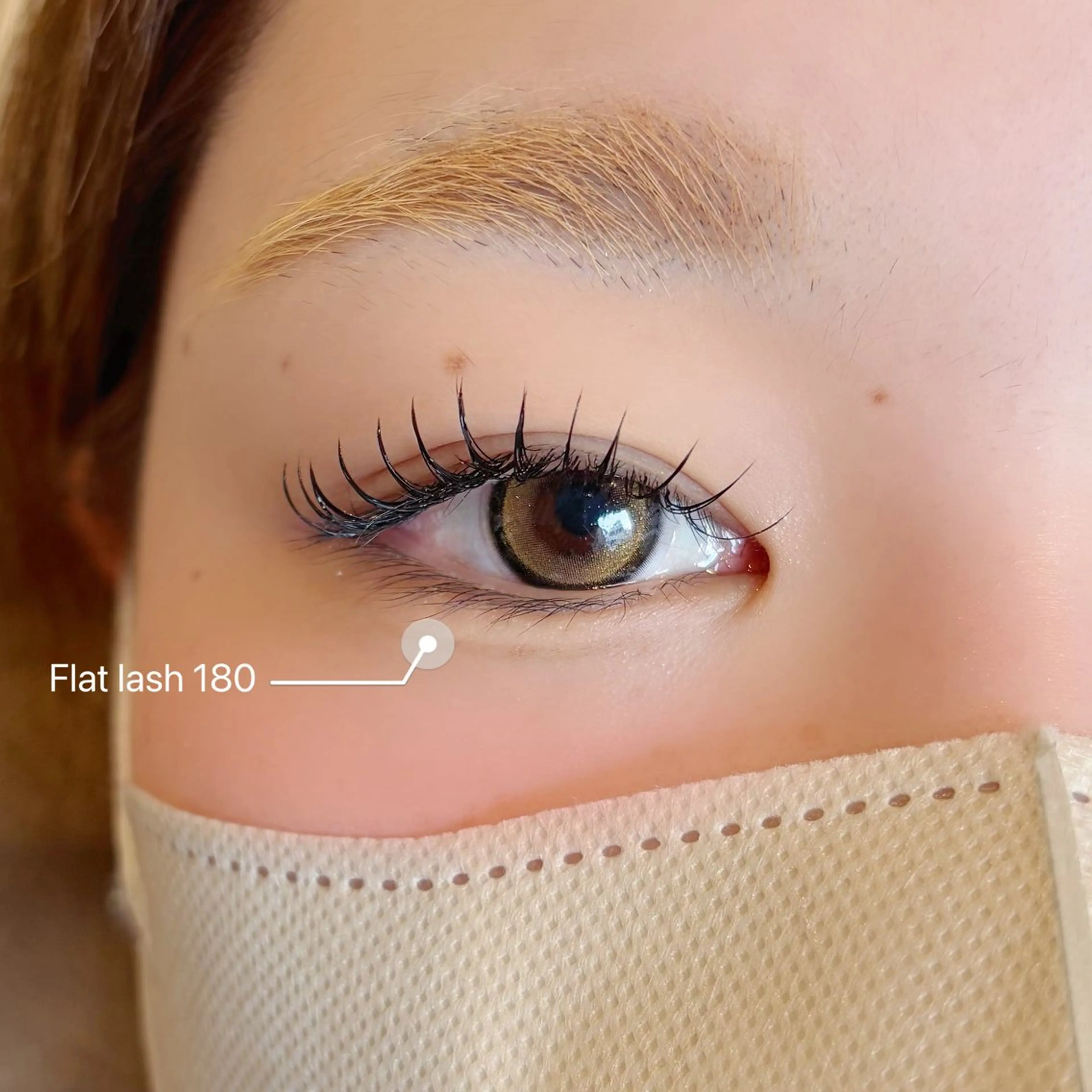 【🌸4月限定🌸】90分フラットラッシュ付け放題の写真