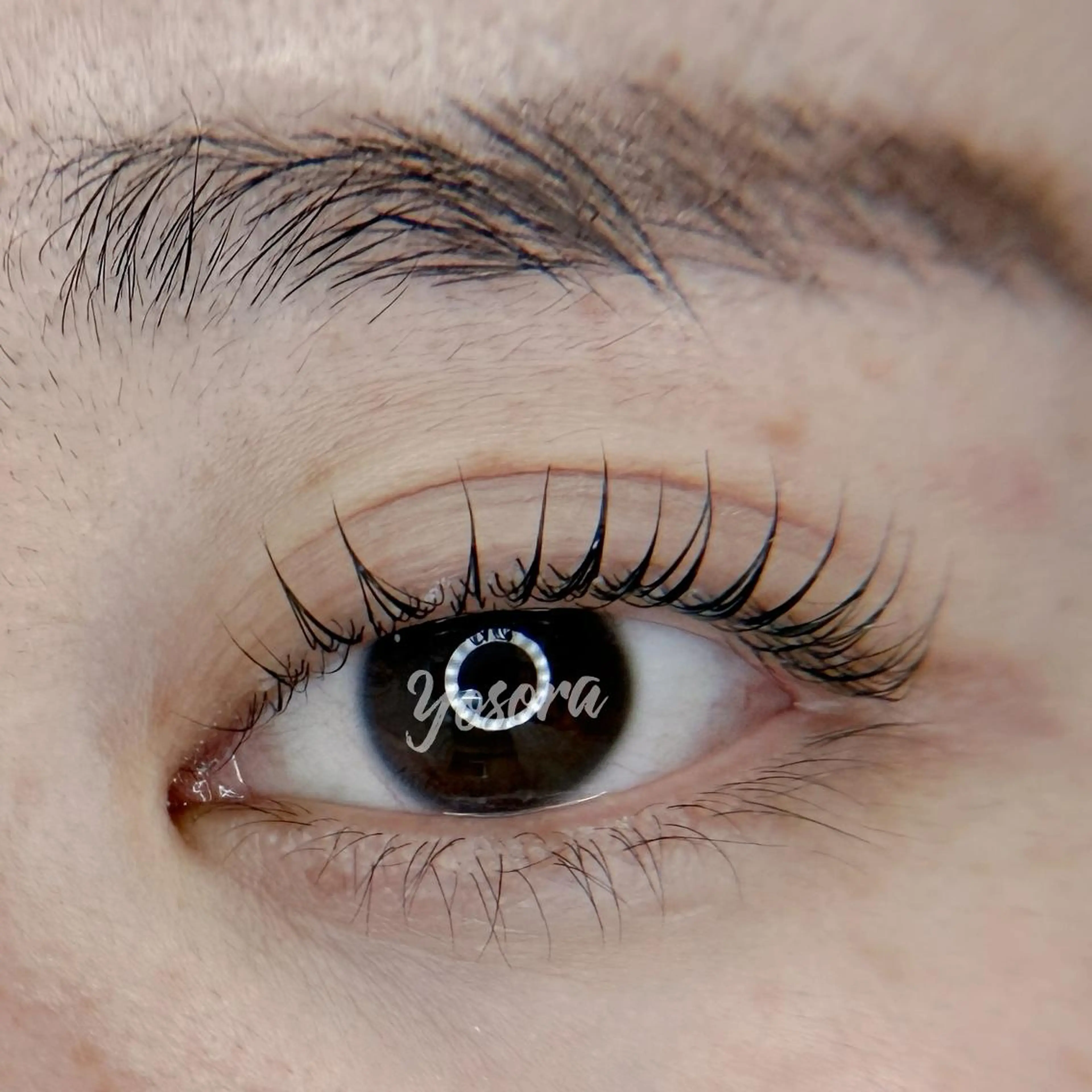 マツエク・マツパ 束感まつ毛 ナチュラル 一重×まつ毛パーマ マツパ Yosora salonのマツエク・マツパデザイン