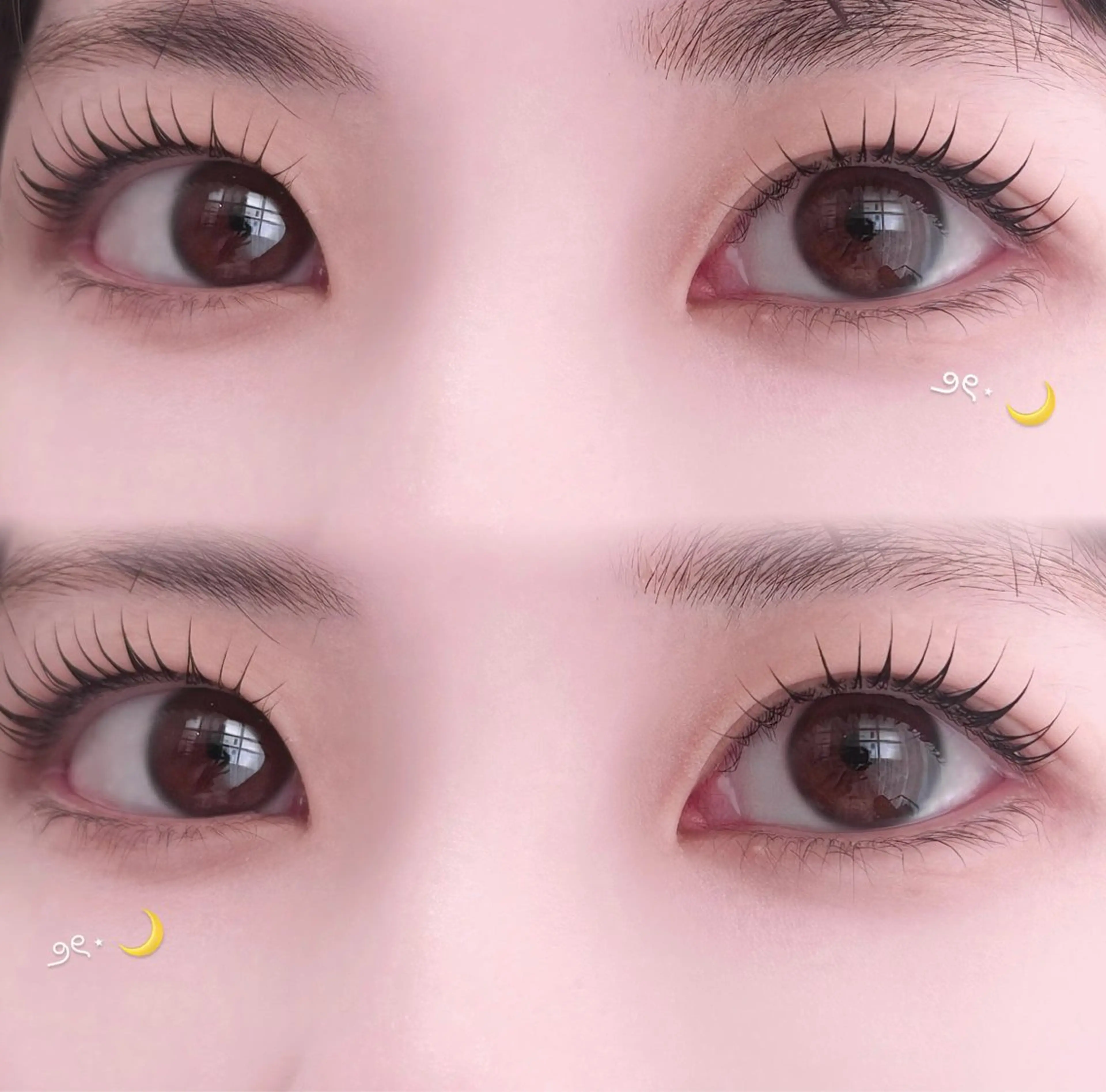 ãããšã¯ã»ããã ã±ã©ãã³ã©ãã·ã¥ãªãã äžéÃãŸã€æ¯ããŒã Chaton â¡ KIRIKOSHIã®ãããšã¯ã»ããããã¶ã€ã³