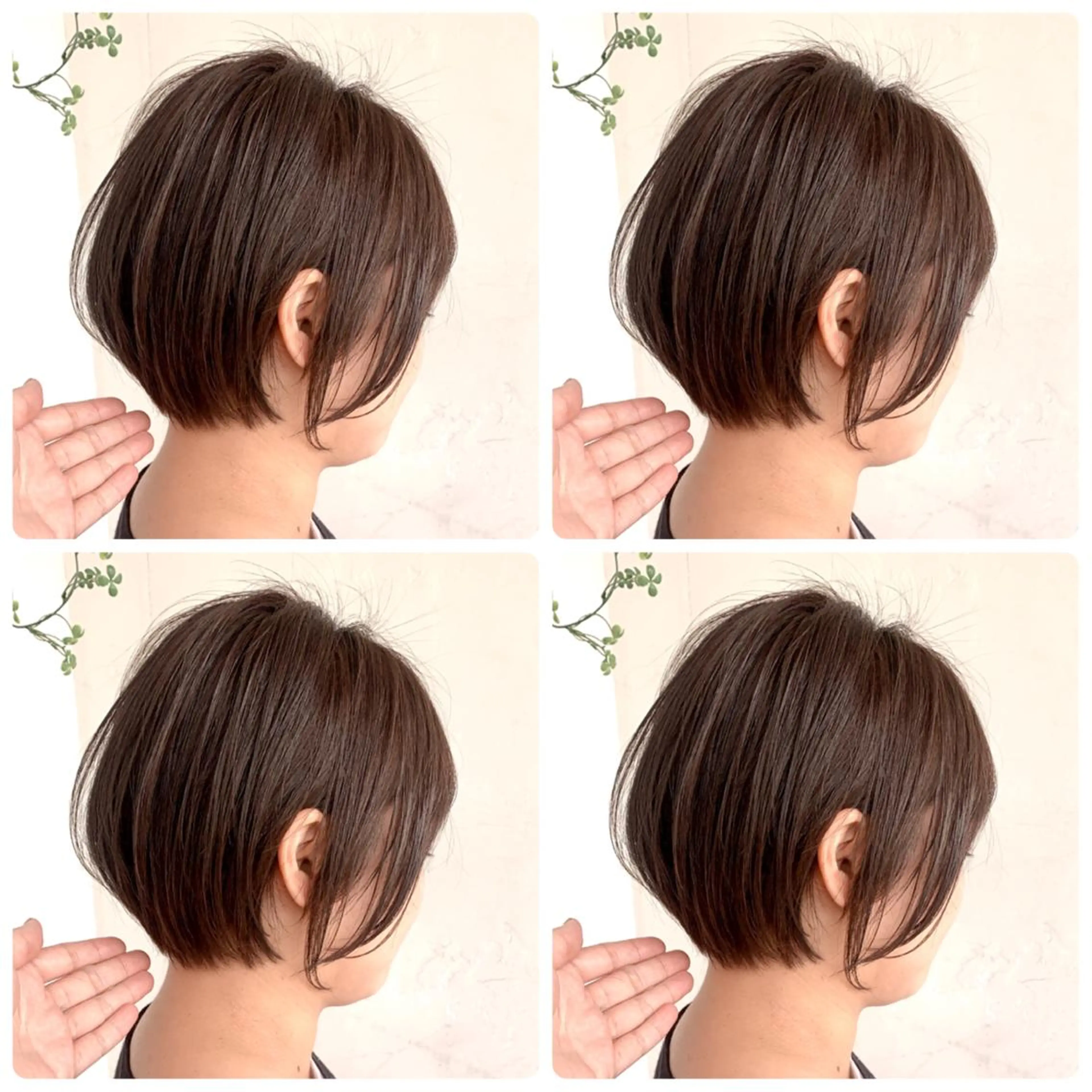 ショート カラー ショートボブ ハンサムショート 丸みショート デザインカラー ハイライトカラー カット ヘアカラー トリートメント 京都大人女性ショート 徒歩1分/秋山のヘアスタイル