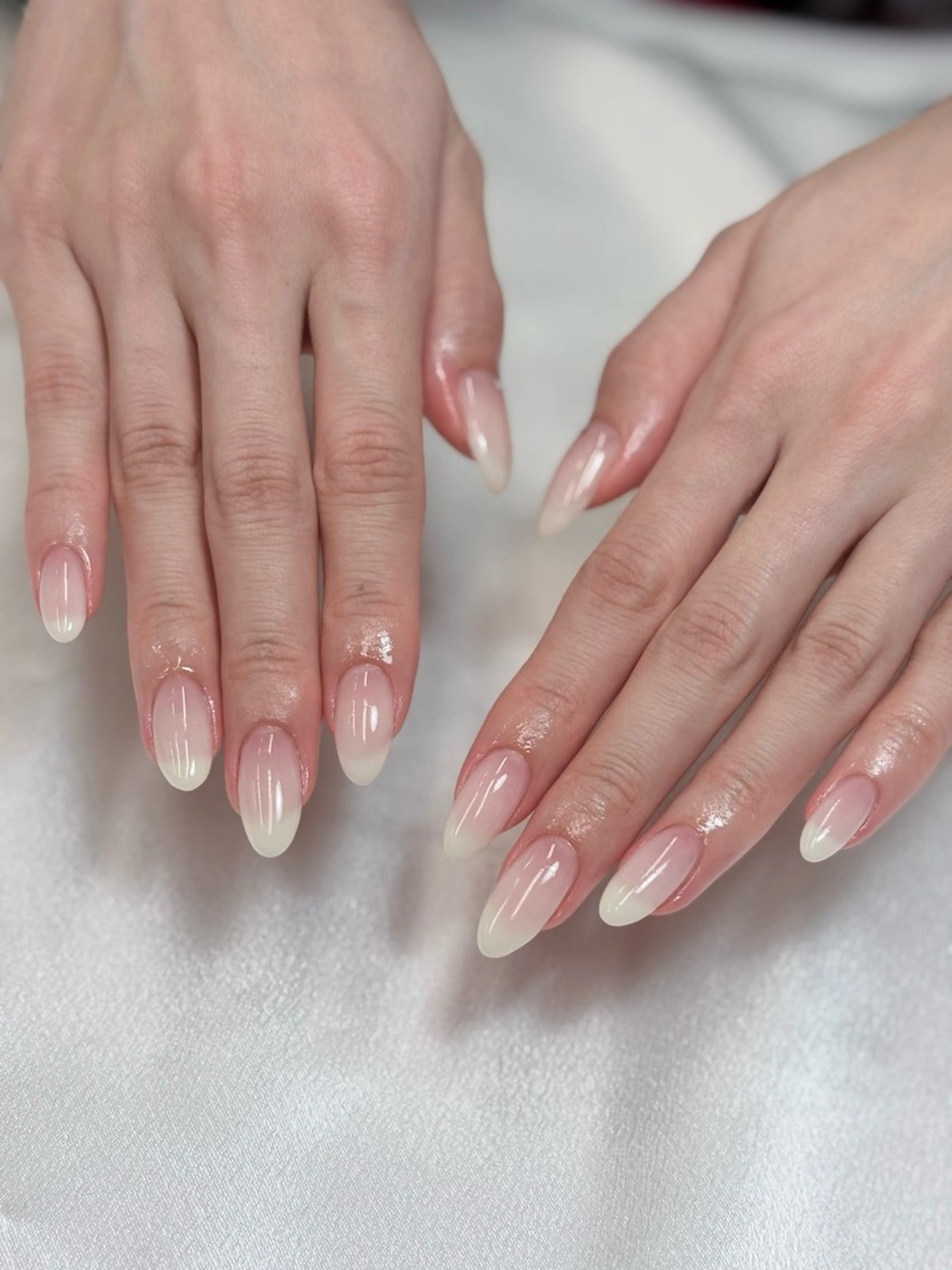 🥑カラーグラデーション🥑オフありの写真