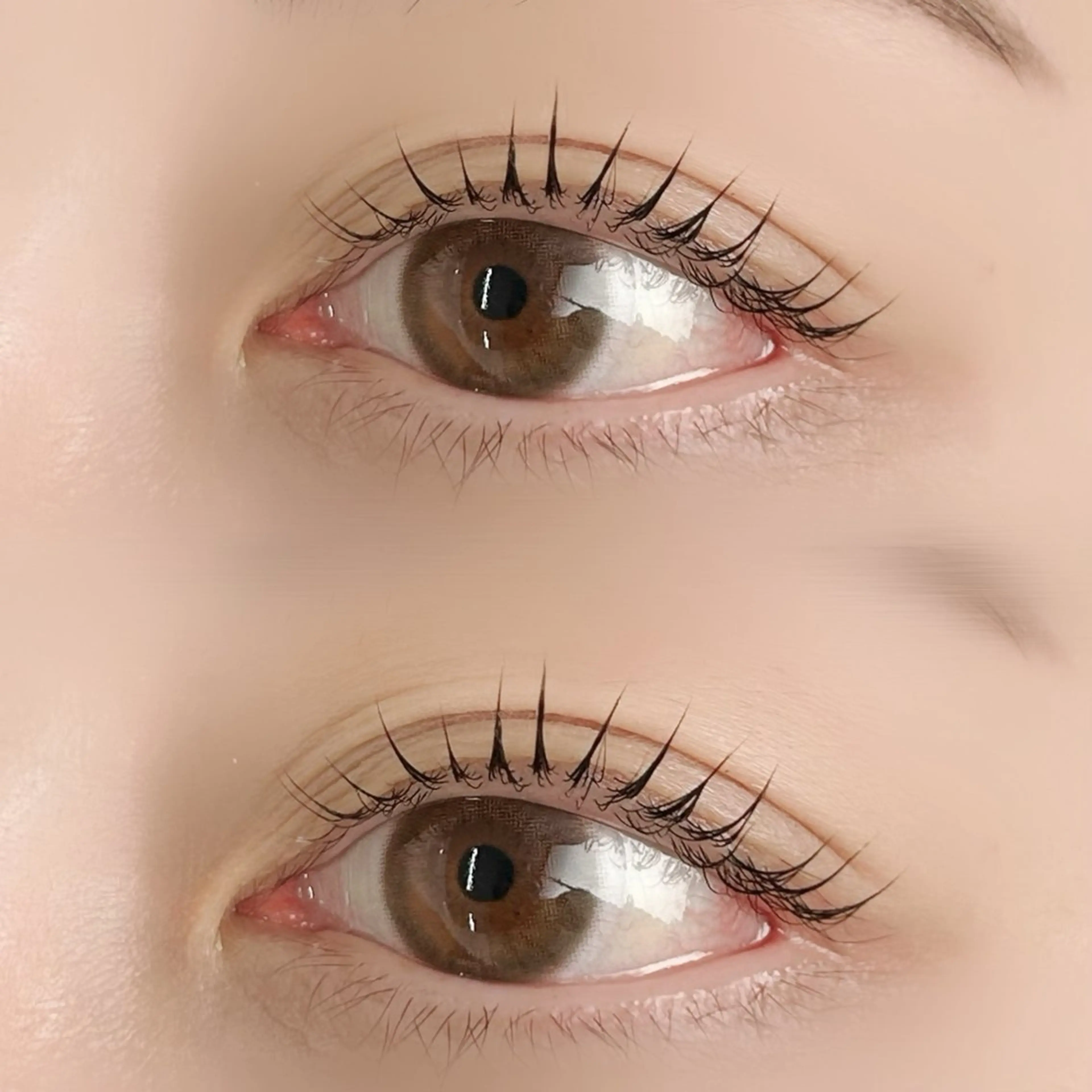 マツエク・マツパ CHEMIR meiのマツエク・マツパデザイン