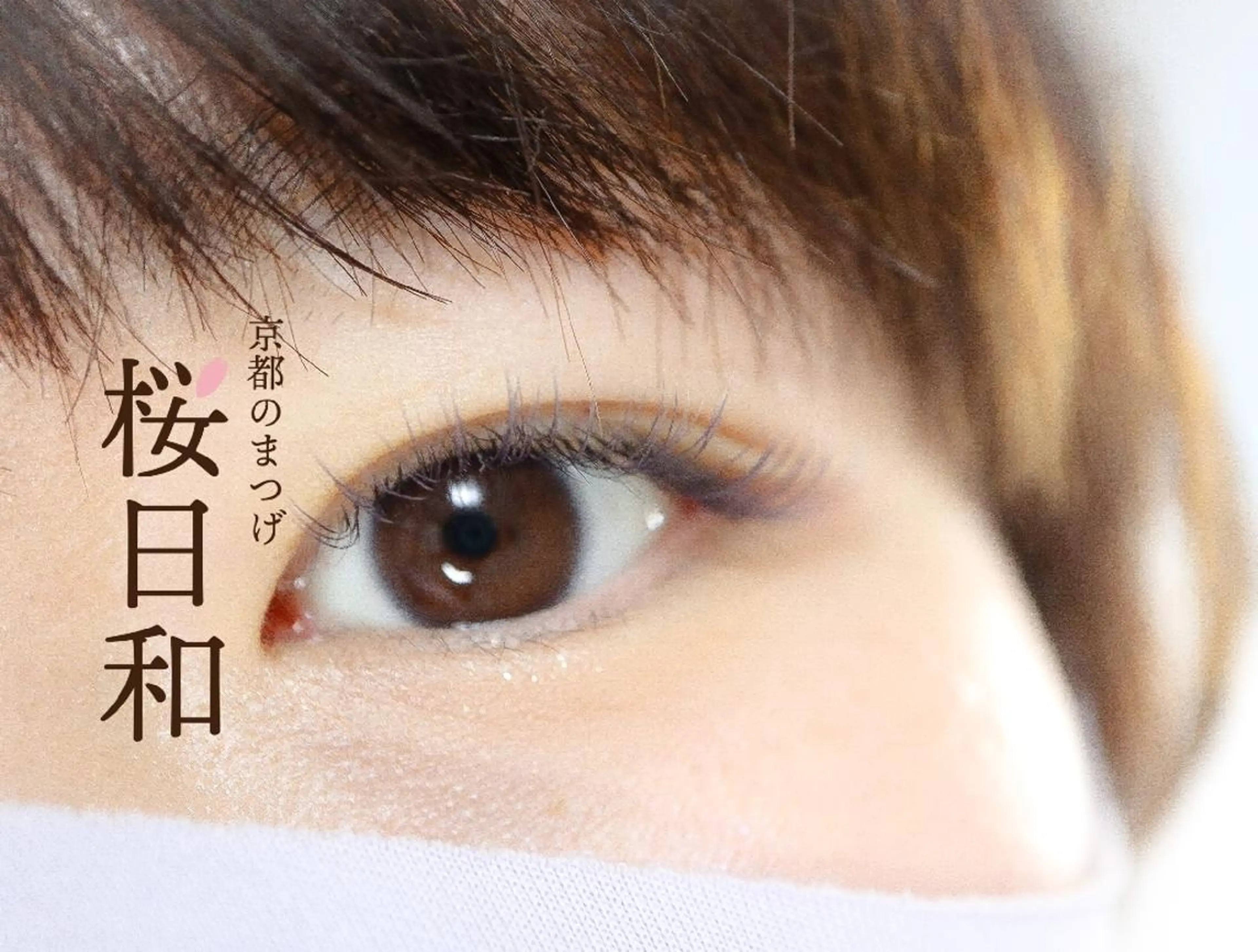 マツエク・マツパ Cカール フラットラッシュ まつげパーマ セクシー 一重×まつ毛パーマ 京都のまつげ桜日和 小島美桜のマツエク・マツパデザイン