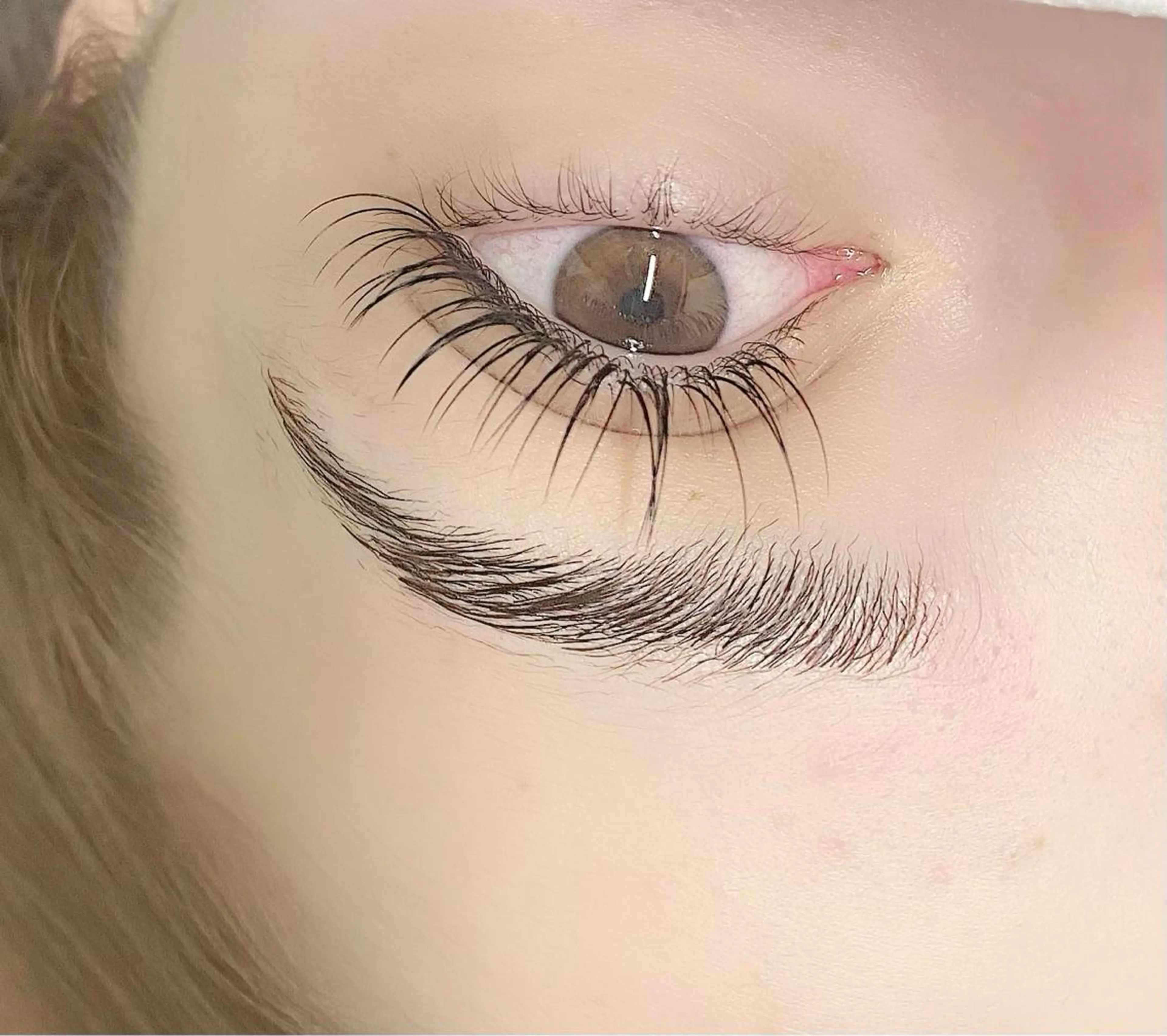 マツエク・マツパ アイブロウ マツエク 韓国系得意🦋 Aspire.のマツエク・マツパデザイン