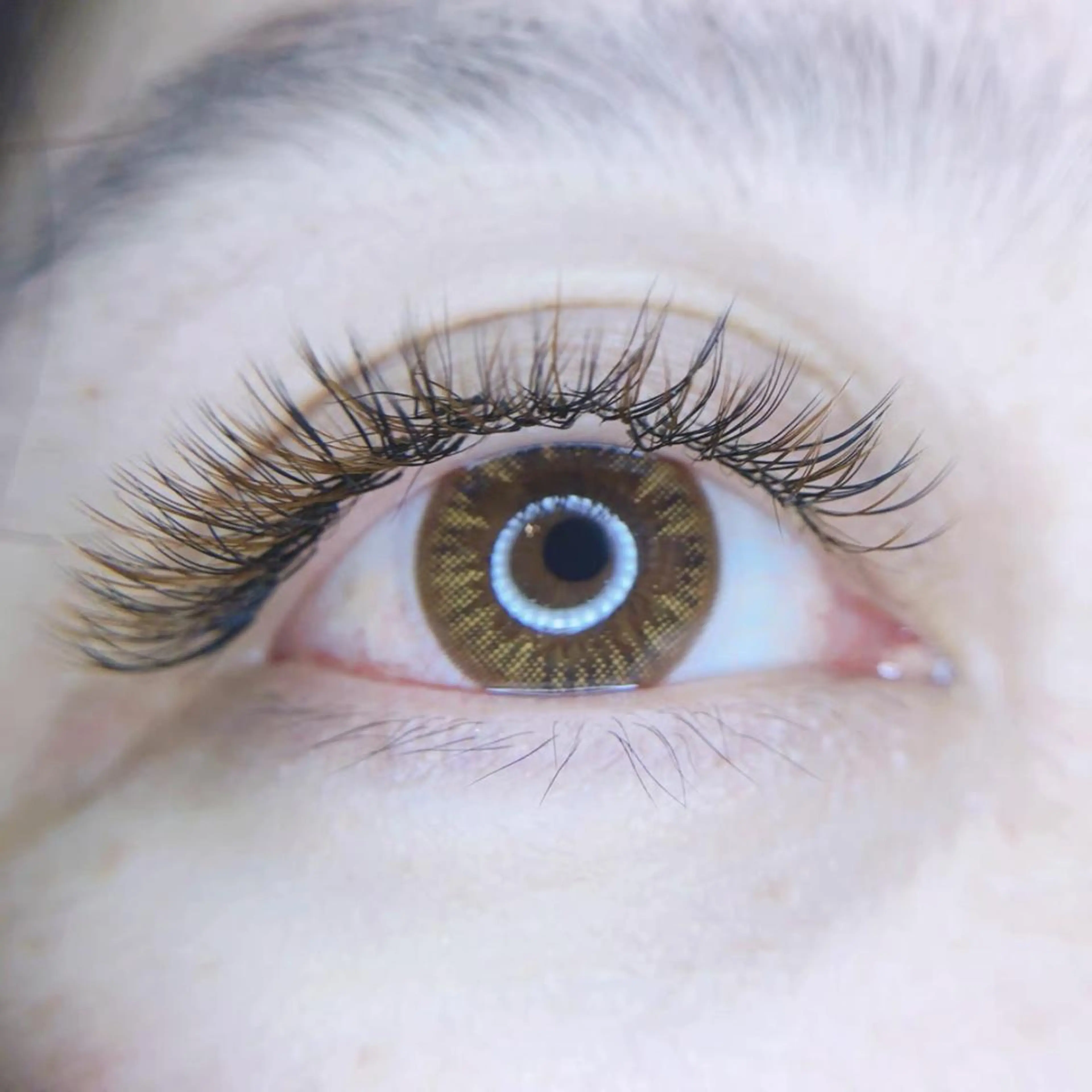 マツエク・マツパ 付け放題 An beauty2のマツエク・マツパデザイン