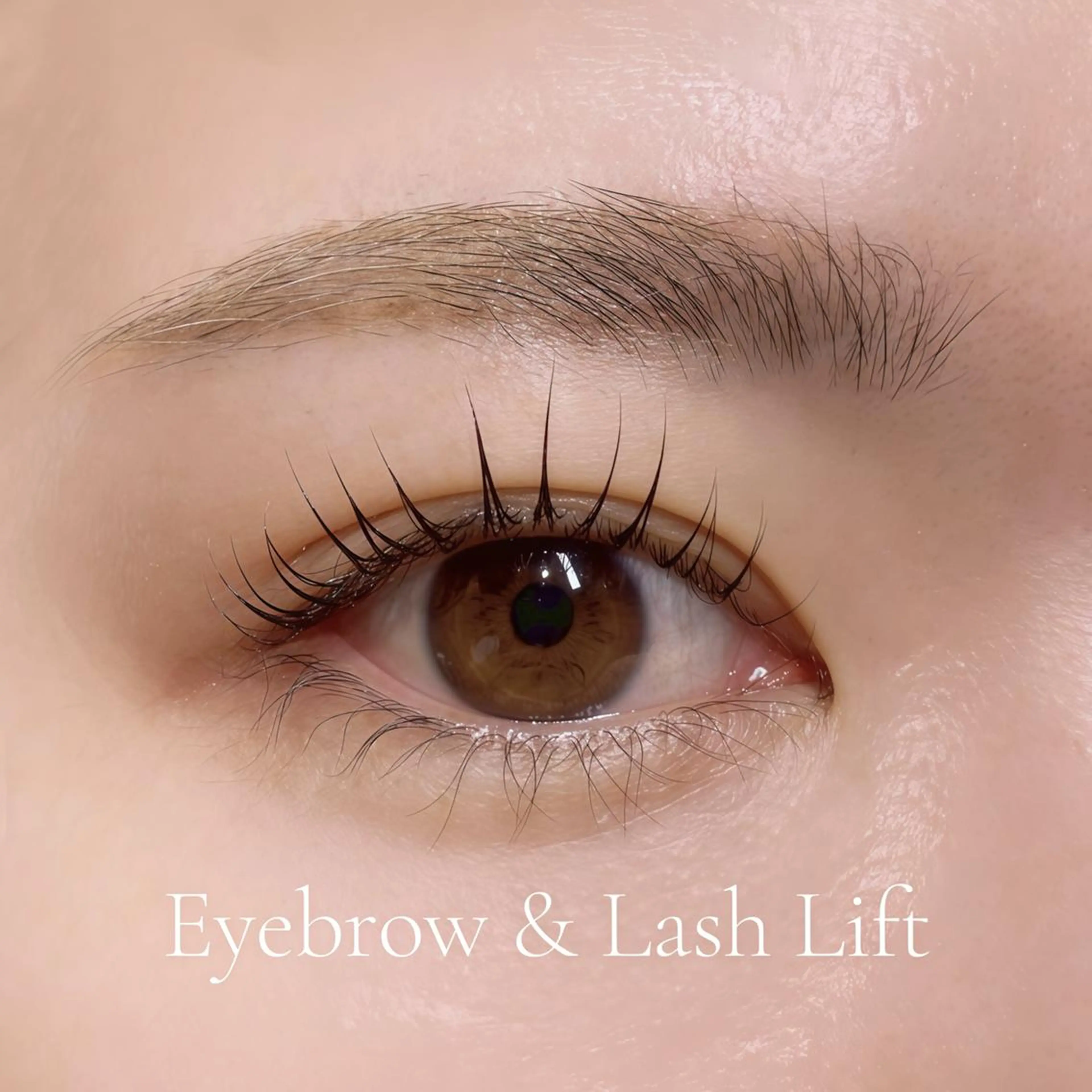 【 美眉WAX +まつパ 】眉毛アイブロウWAX🪽 + 似合わせまつげパーマ🩰の写真