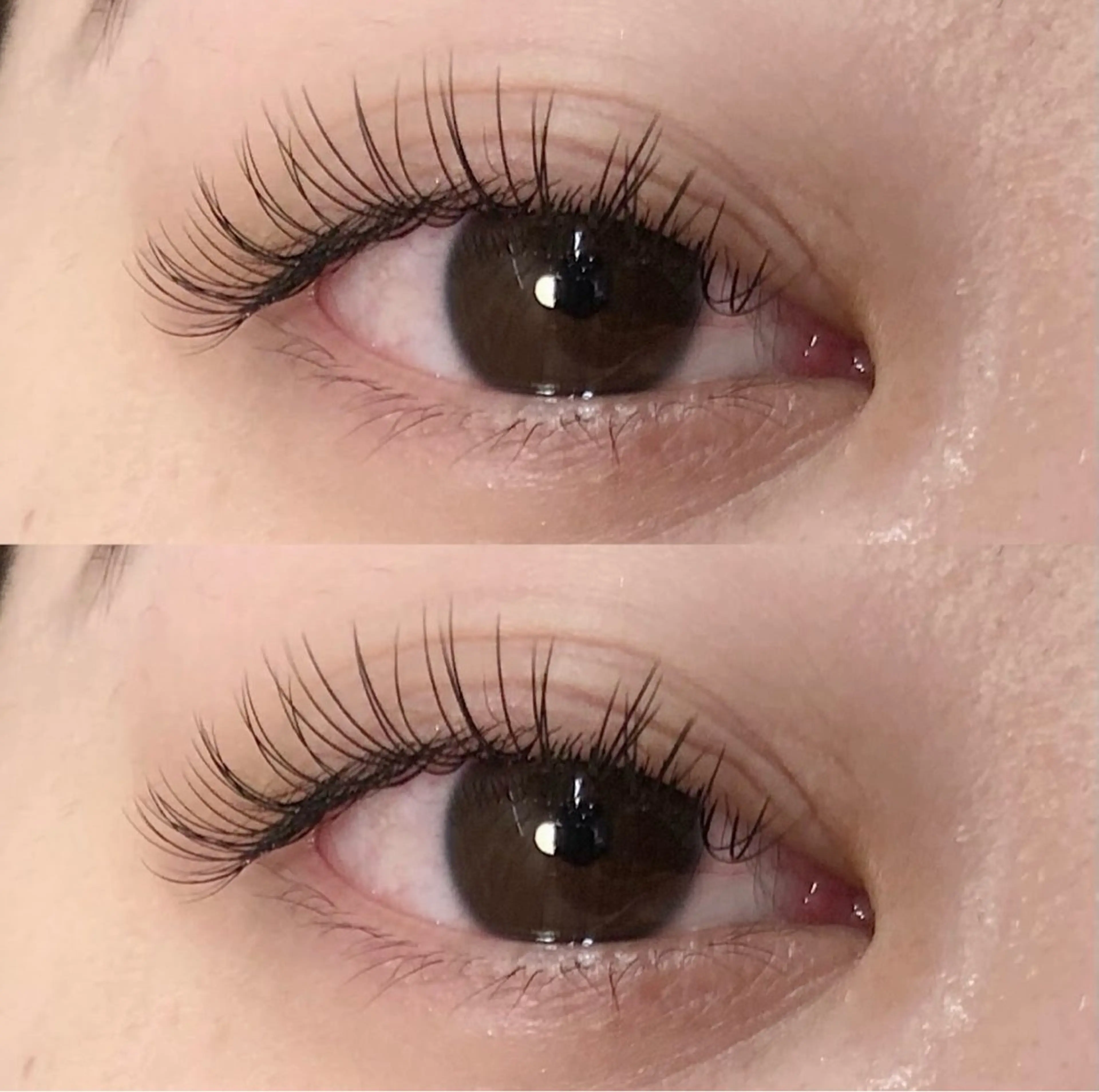 フラットラッシュエクステ120本🎀🎵ྀིの写真