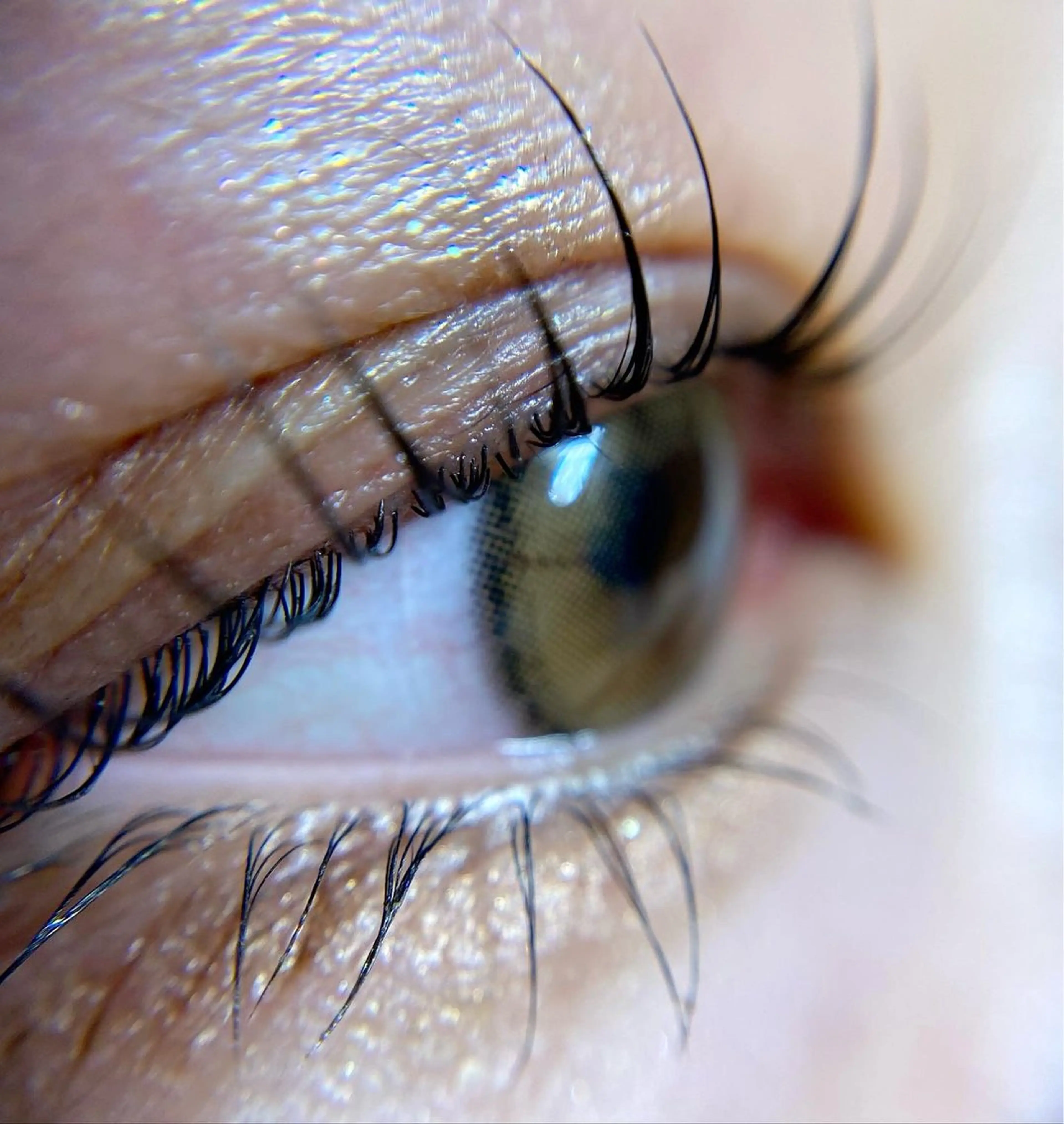 マツエク・マツパ パリジェンヌラッシュリフト マツパ Nao店長 /ルヴォルテ大須のマツエク・マツパデザイン