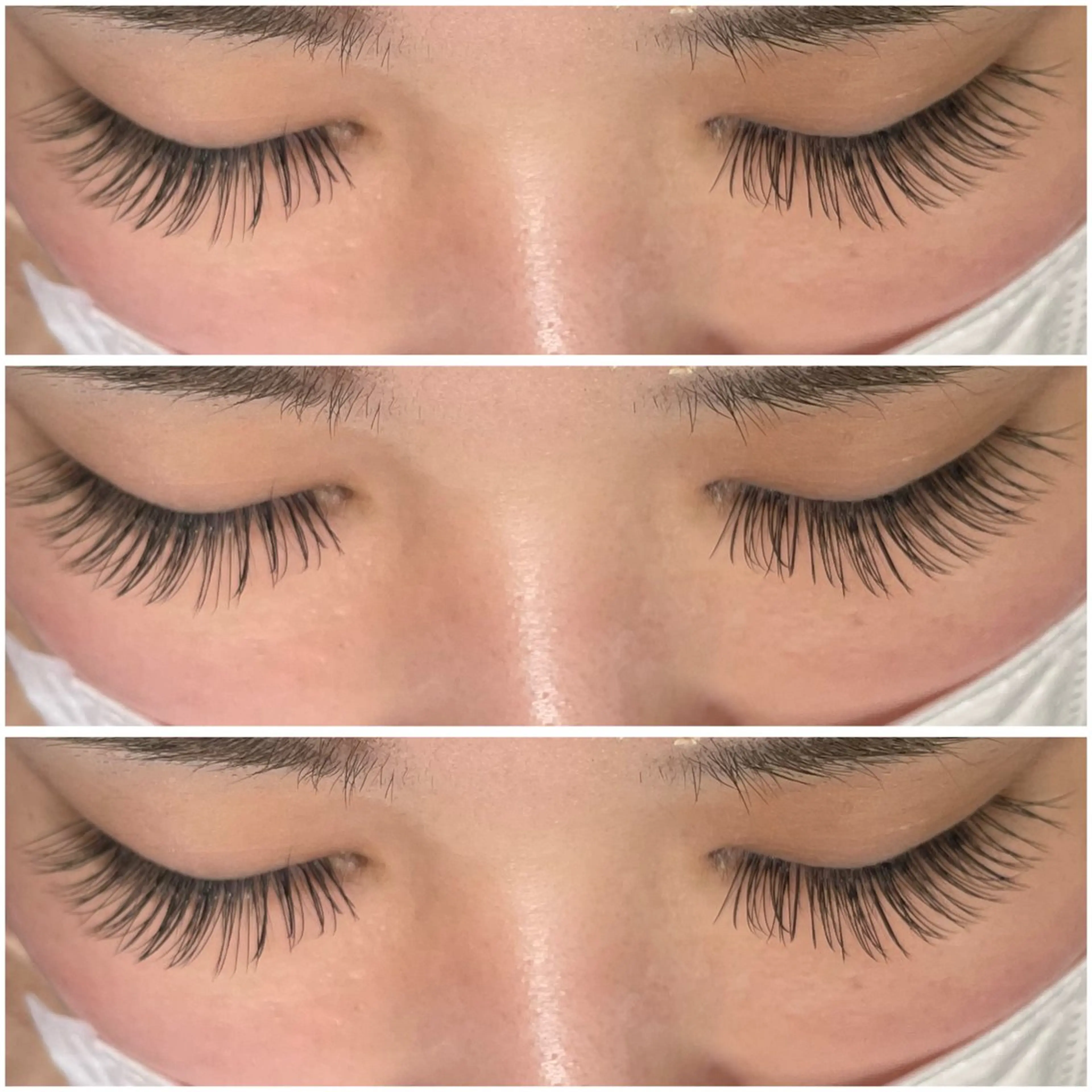 【初回限定】セーブル上120本  オフなしの写真