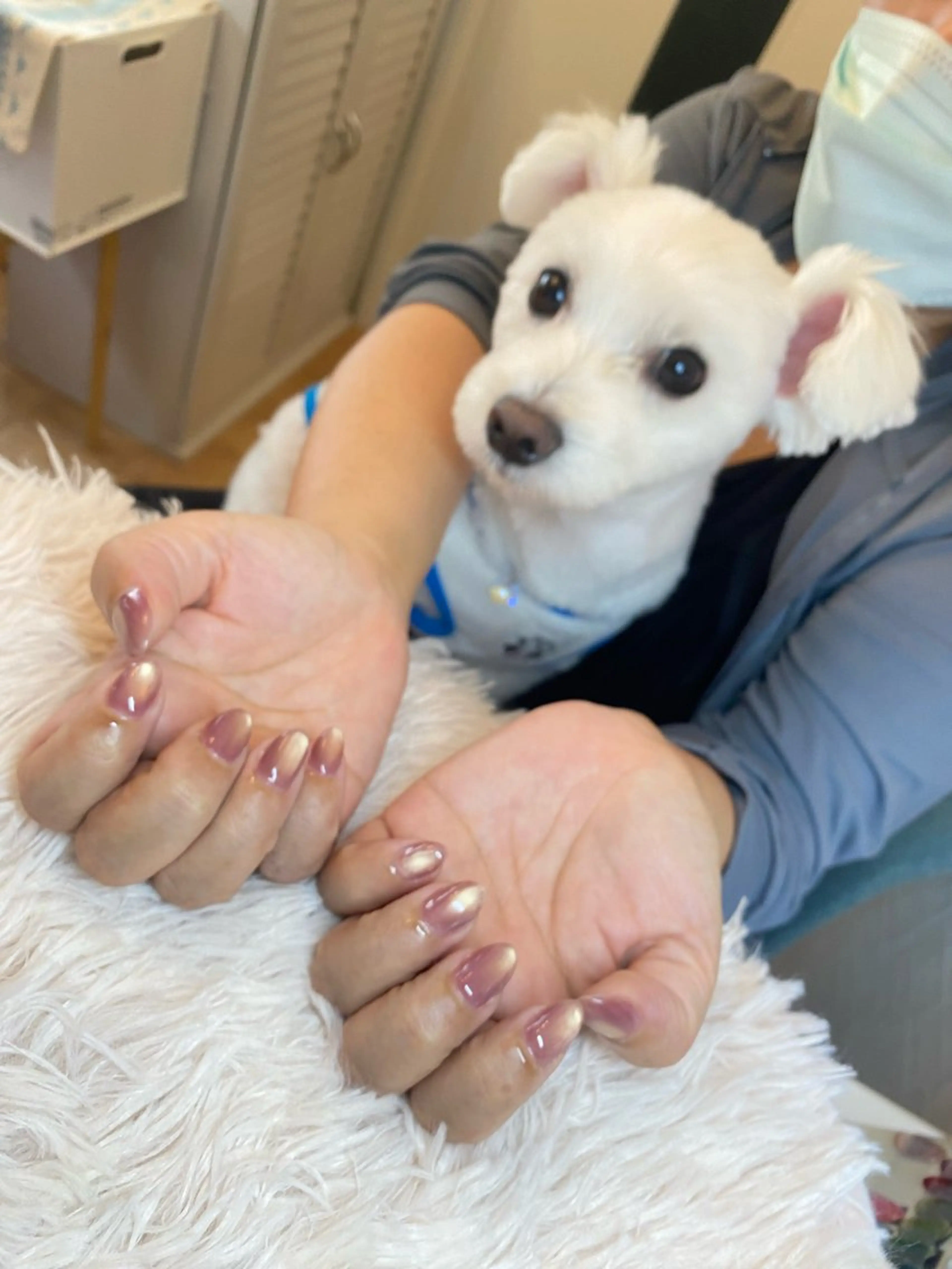 ネイル ハンドネイル Chandra nail&tarotのネイルデザイン