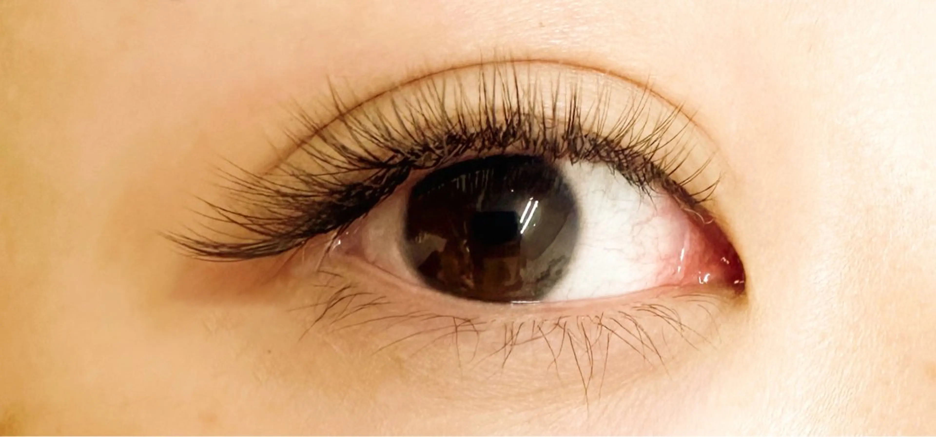 マツエク・マツパ Petila🐈‍⬛ Mayuriのマツエク・マツパデザイン