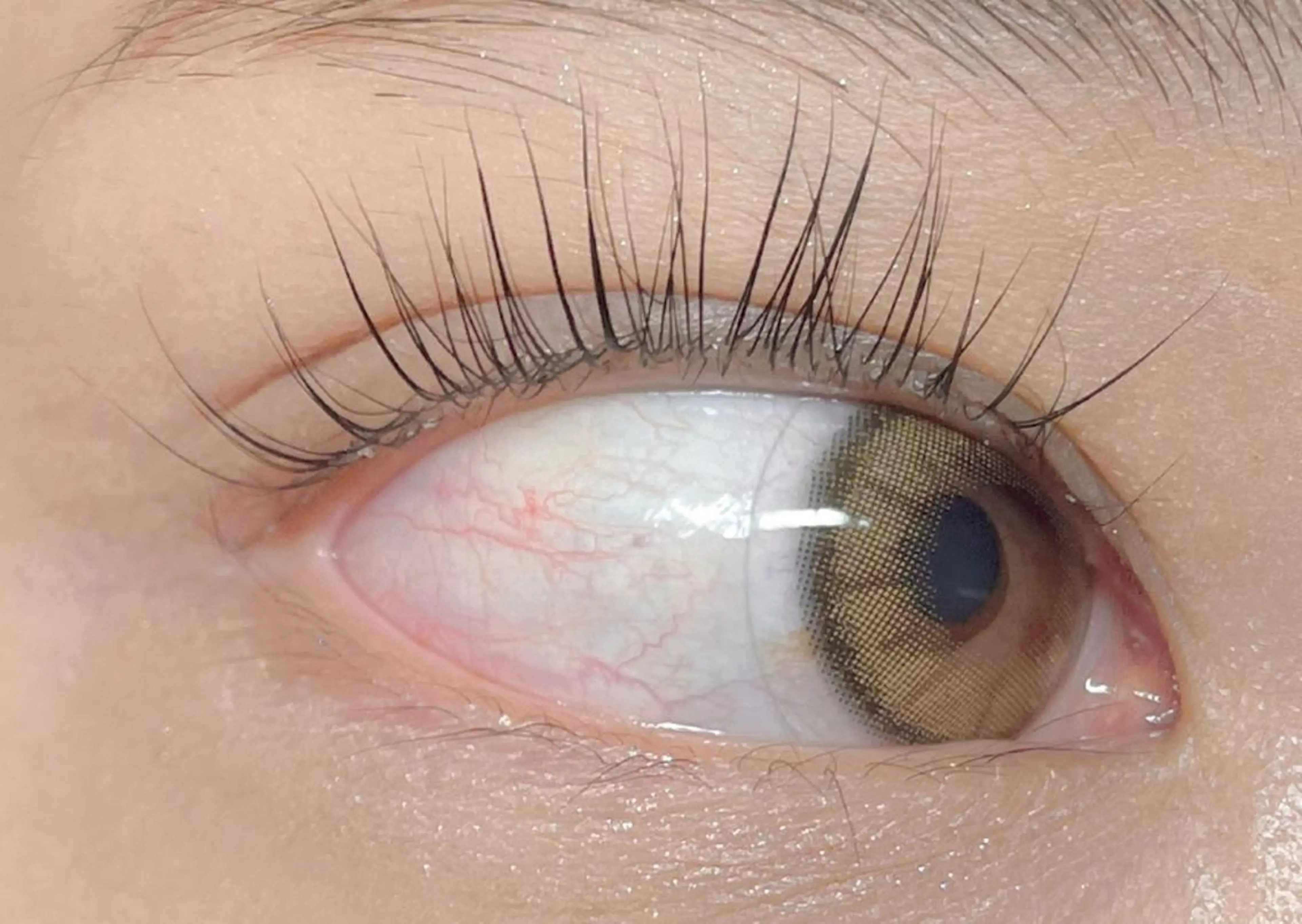 マツエク・マツパ マツパ princess 森 碧海のマツエク・マツパデザイン