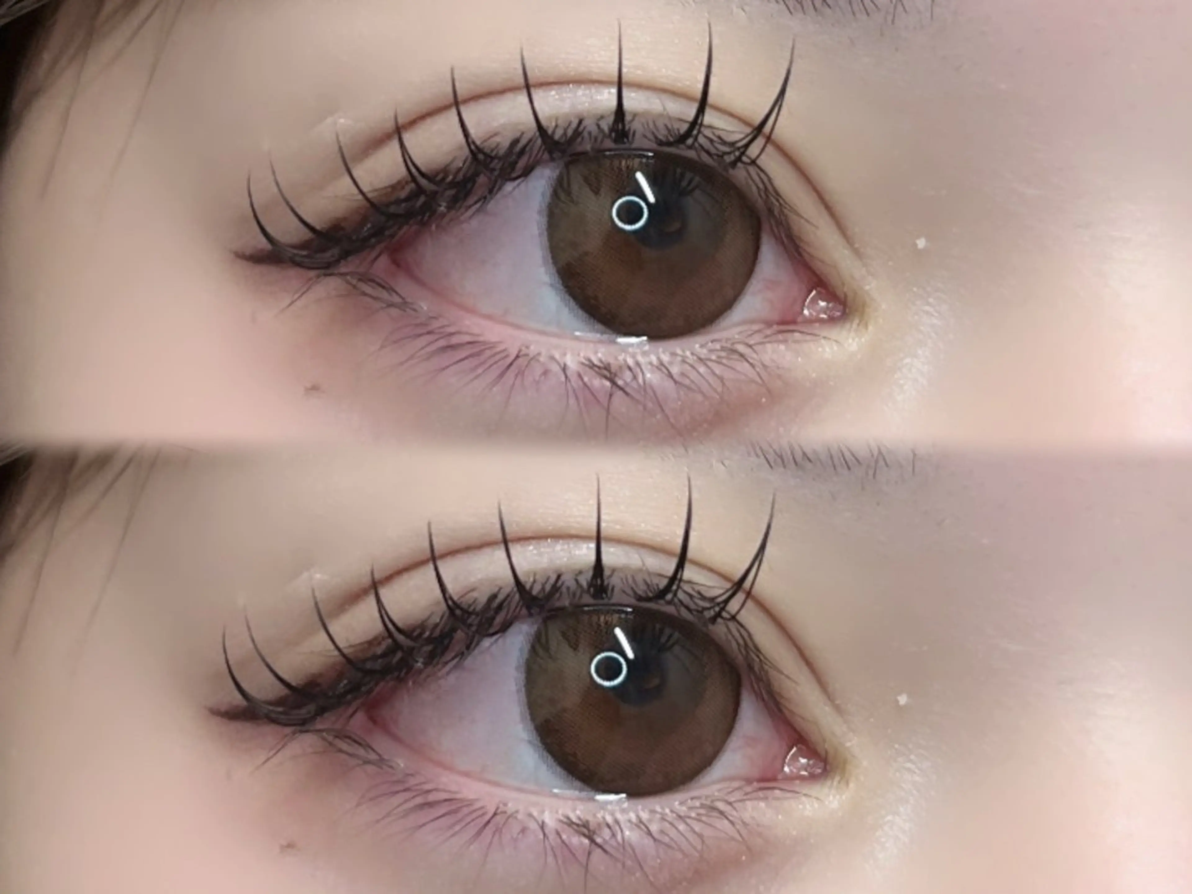 マツエク・マツパ LAUREL EYE ౨ৎAoi🩶のマツエク・マツパデザイン