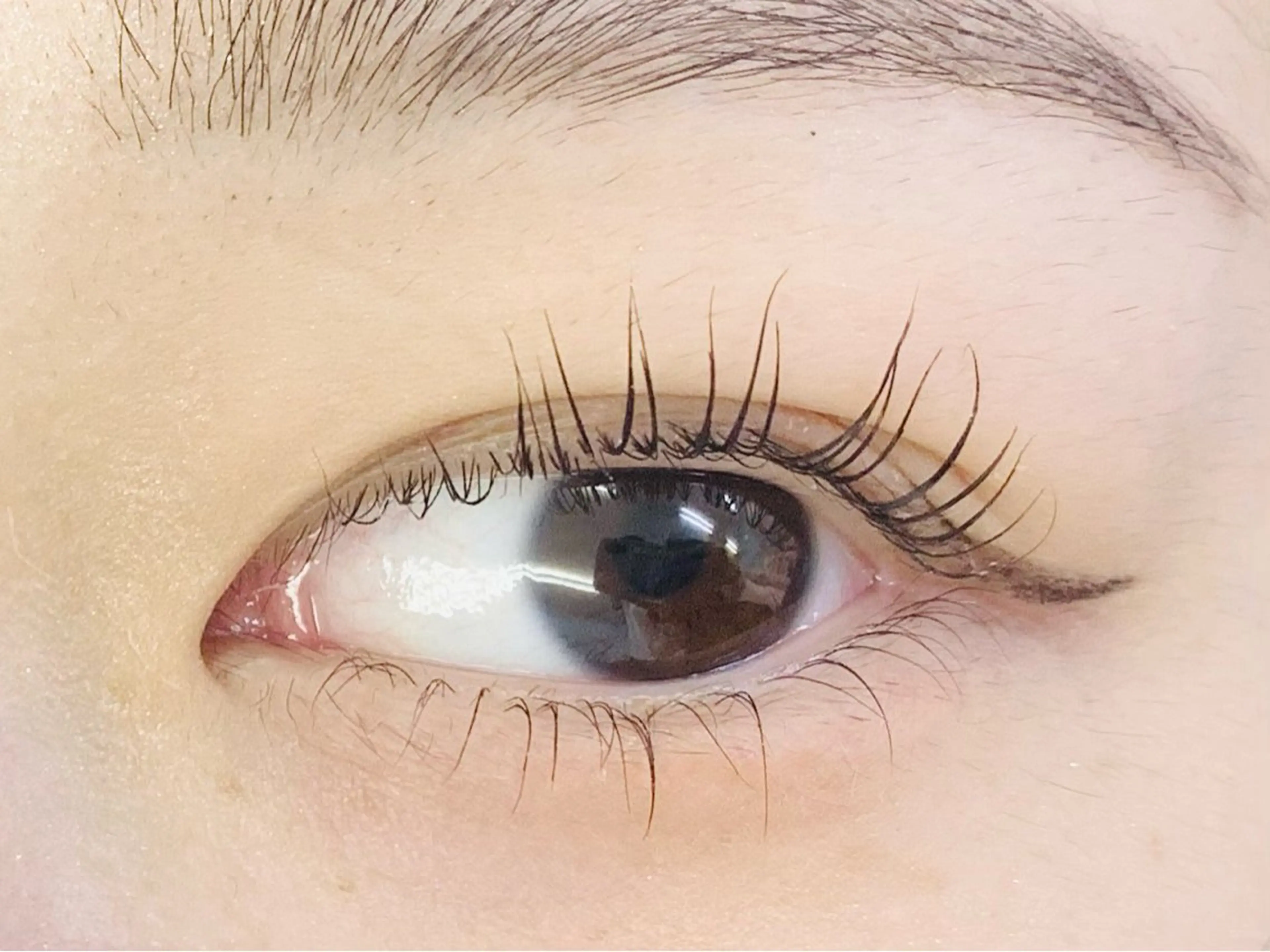 マツエク・マツパ 一重×まつ毛パーマ Rich to 松崎　麻衣子のマツエク・マツパデザイン