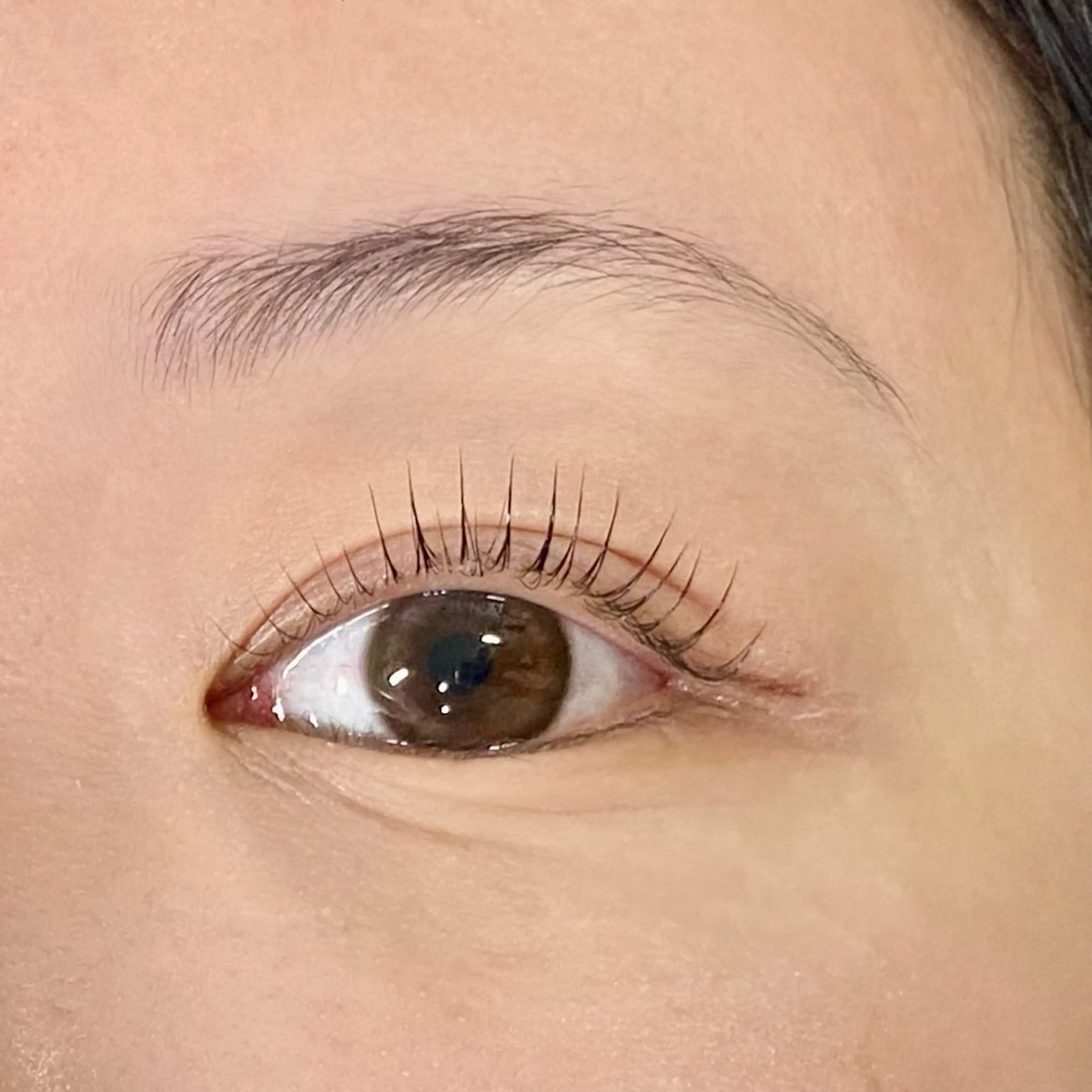 マツエク・マツパ パリジェンヌラッシュリフト 🌼 Manami /自由が丘 🌼のマツエク・マツパデザイン