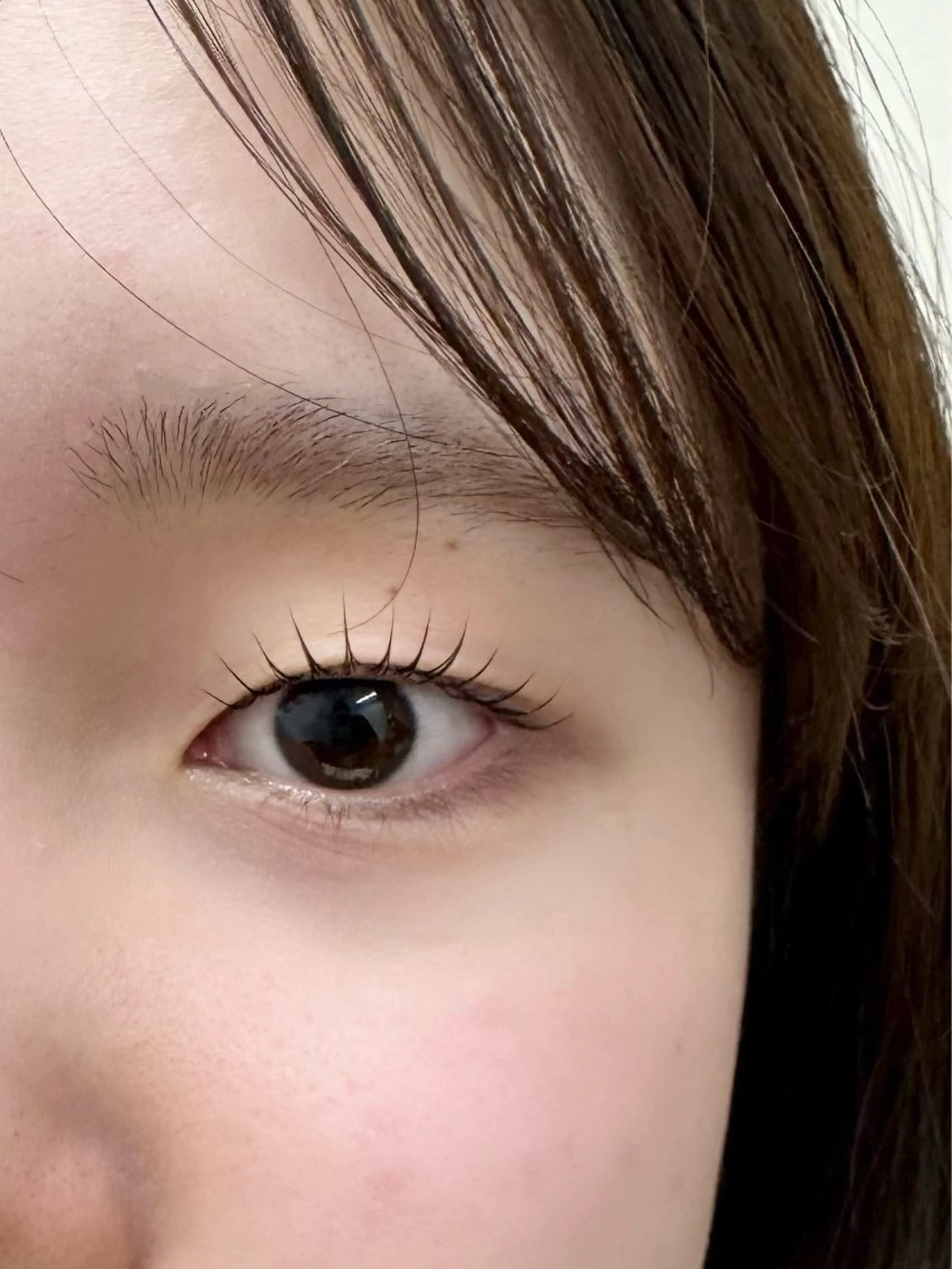 マツエク・マツパ マツパ 韓国束感まつげ🤍 MIOのマツエク・マツパデザイン