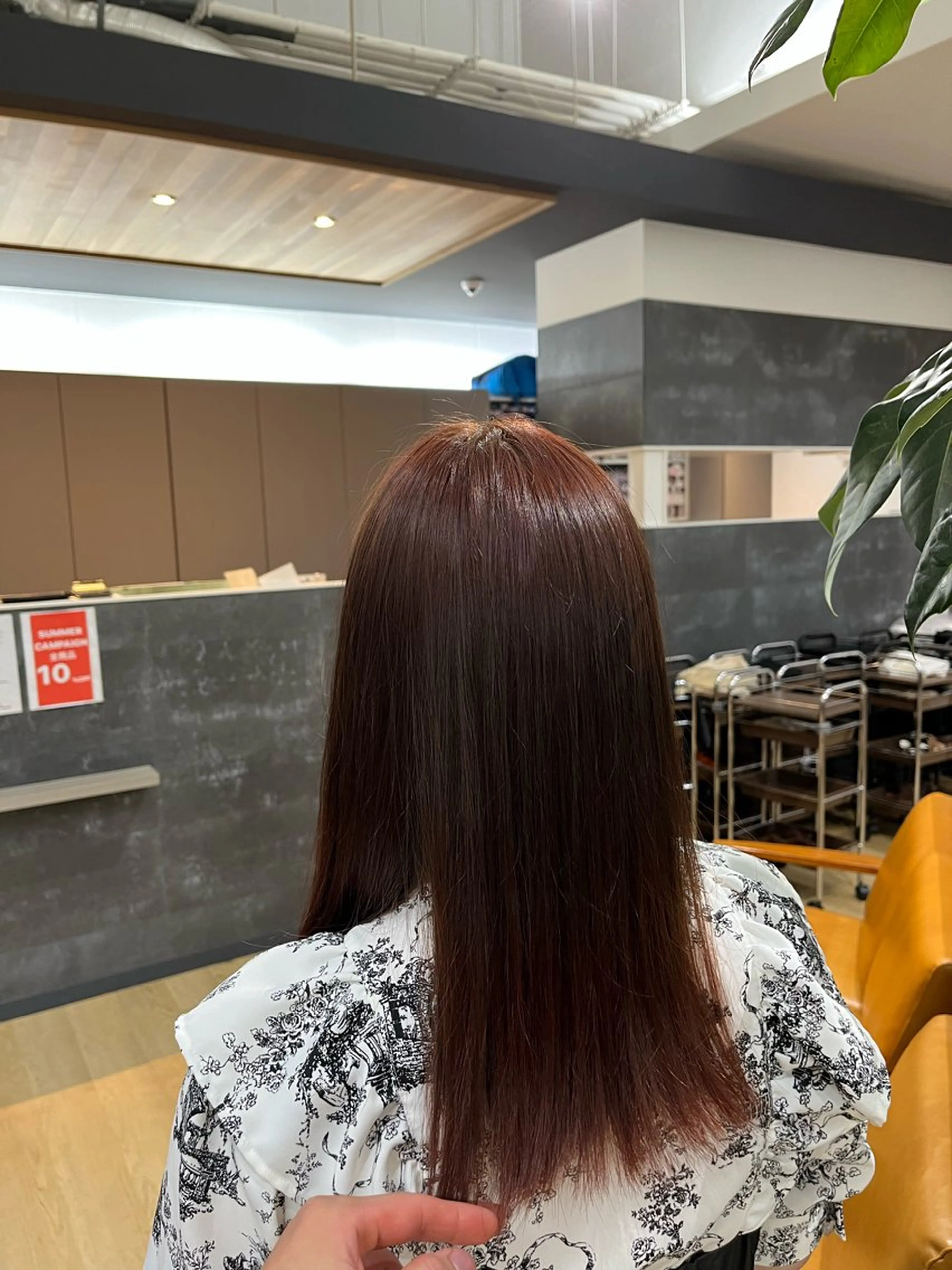 カラー ブラウンカラー レッドカラー 菊池 蓮のヘアスタイル