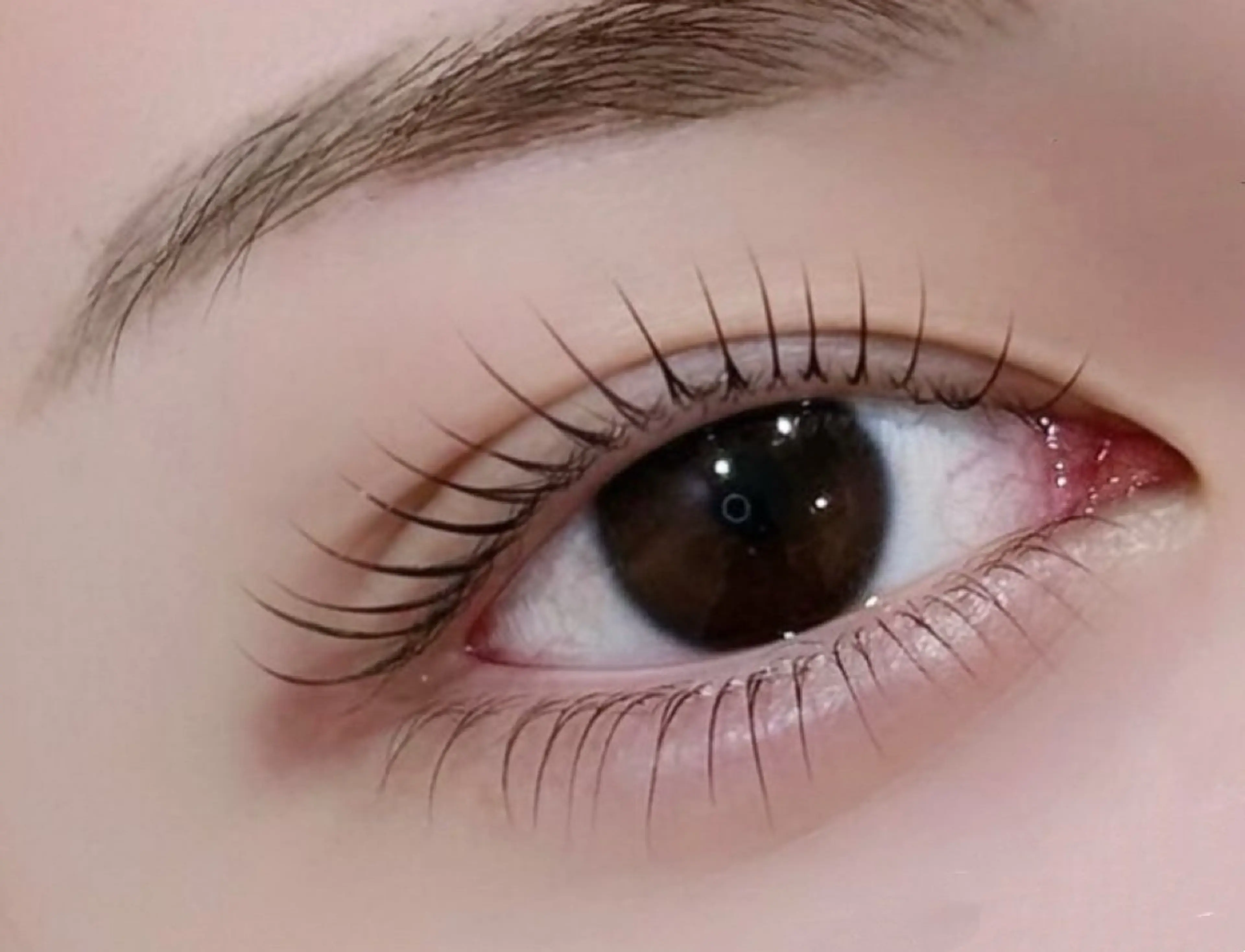 🎀下まつげ🎀20本2200円/40本2800円/つけ放題3500円の写真